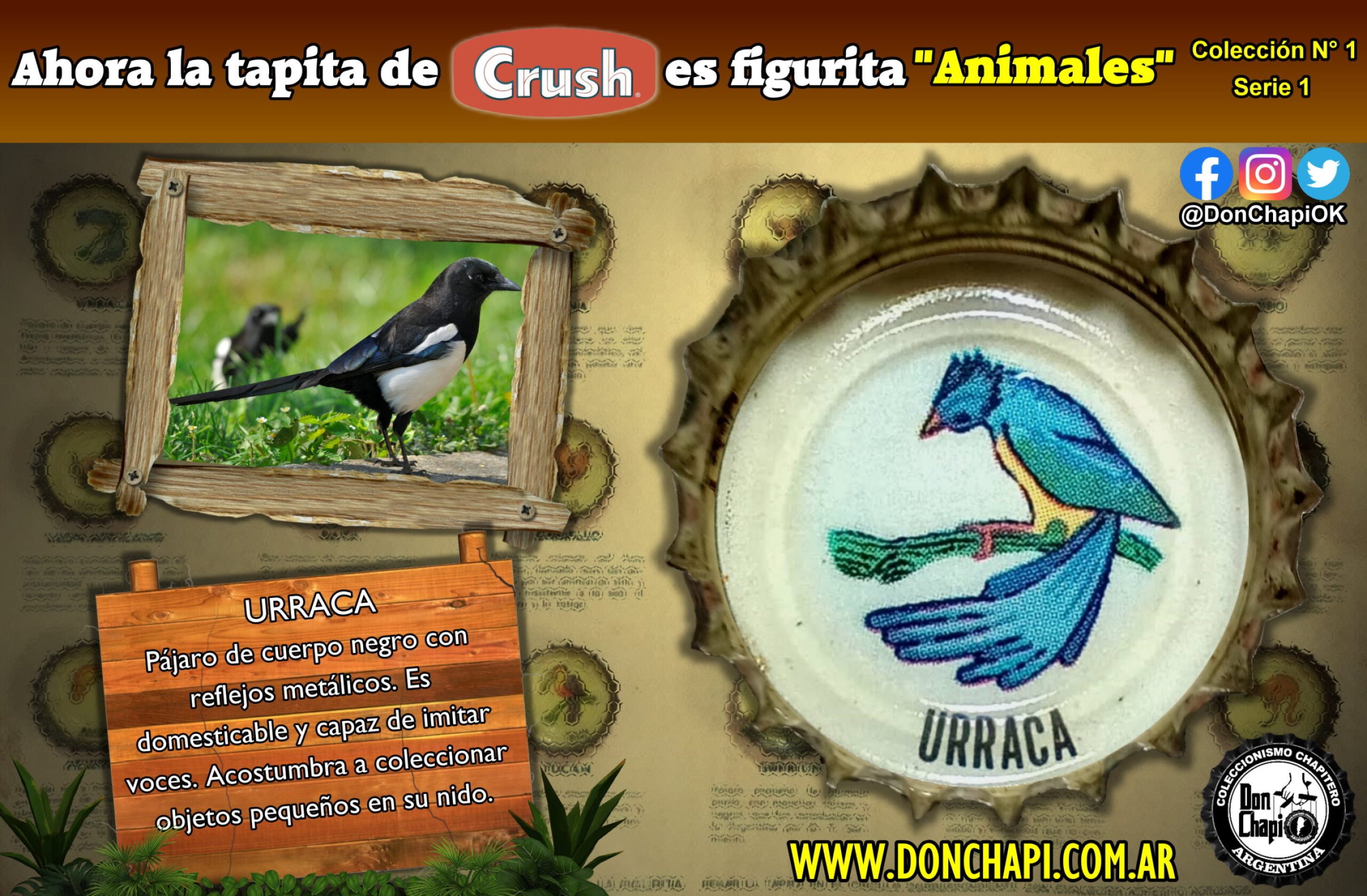 Animales1_01_urraca