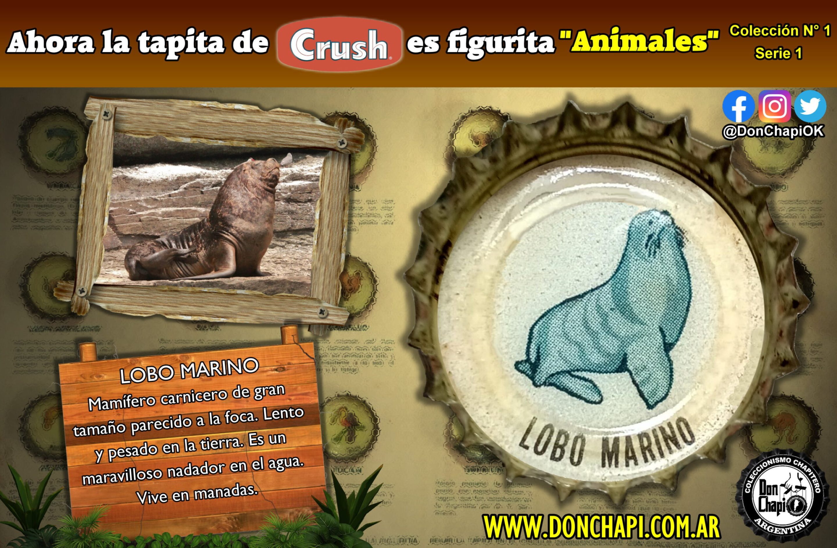 Animales1_02_loboMarino