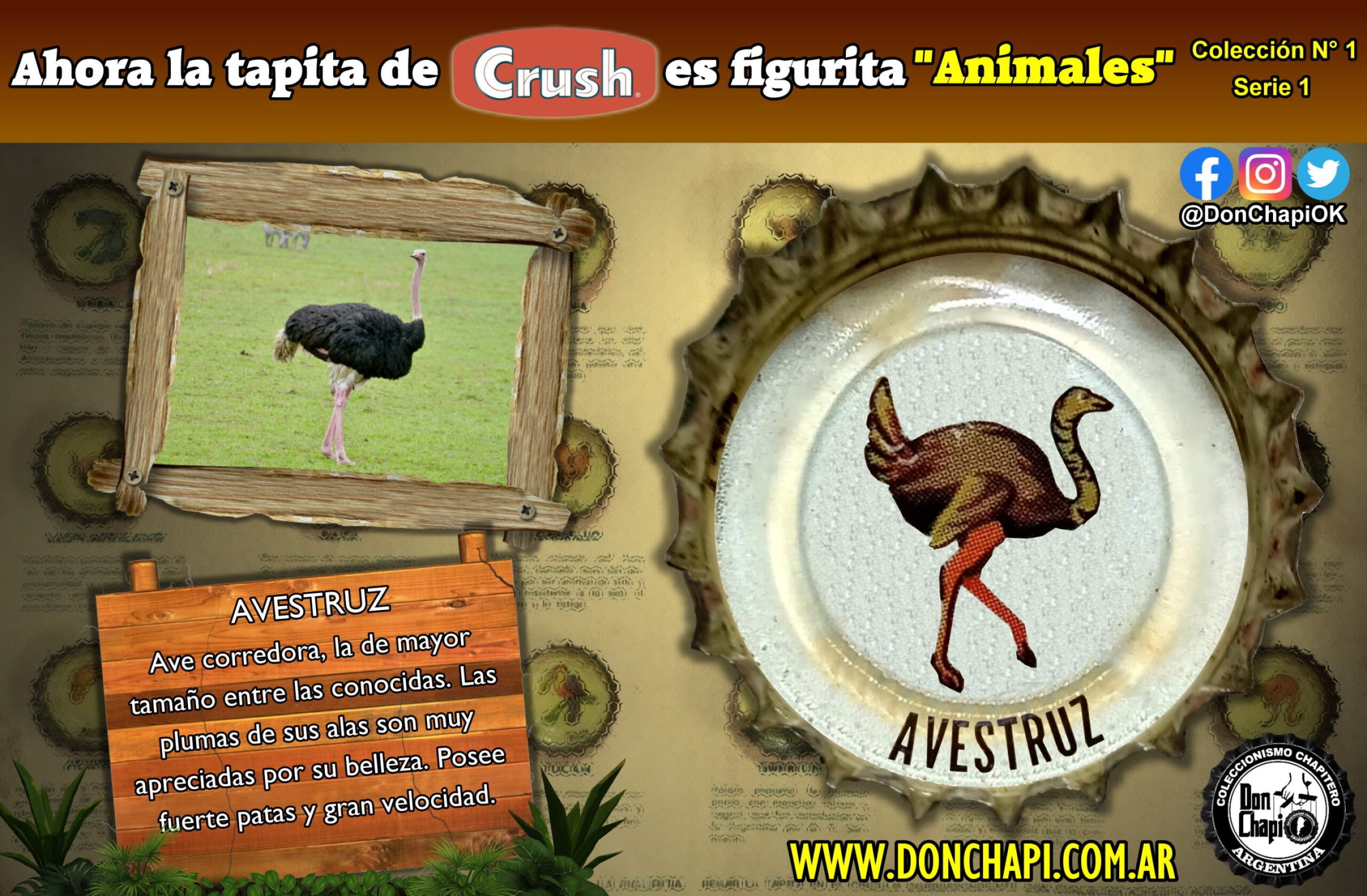 Animales1_04_Avestruz