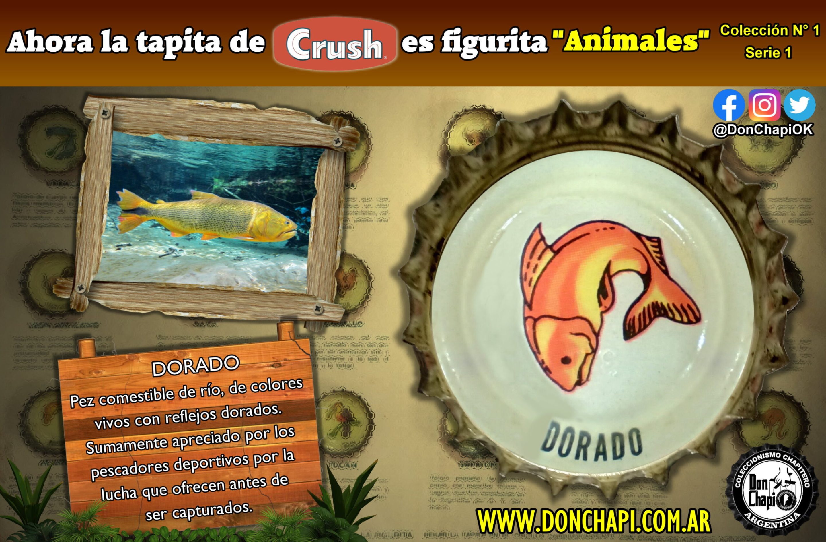 Animales1_05_Dorado