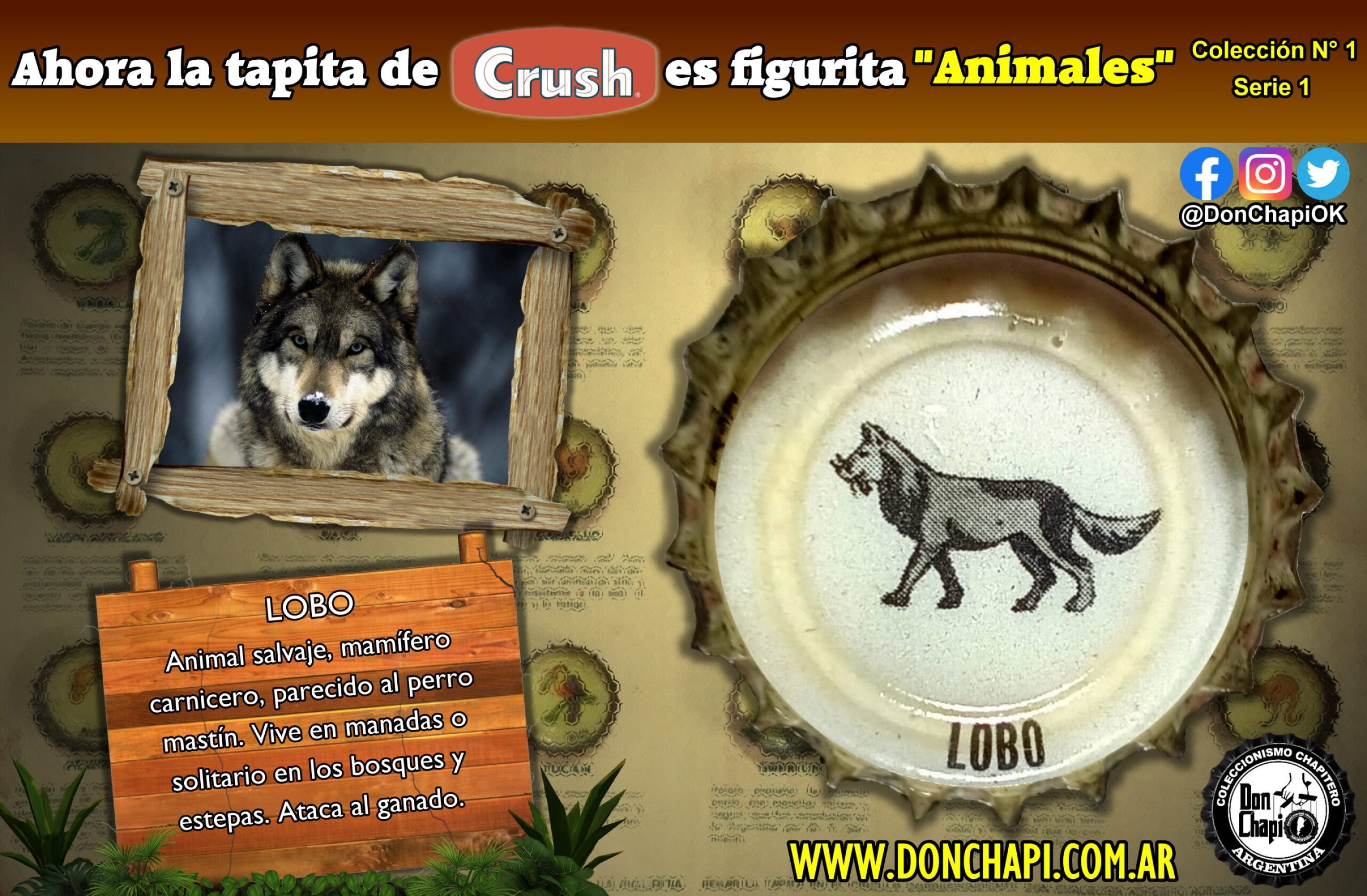 Animales1_06_Lobo