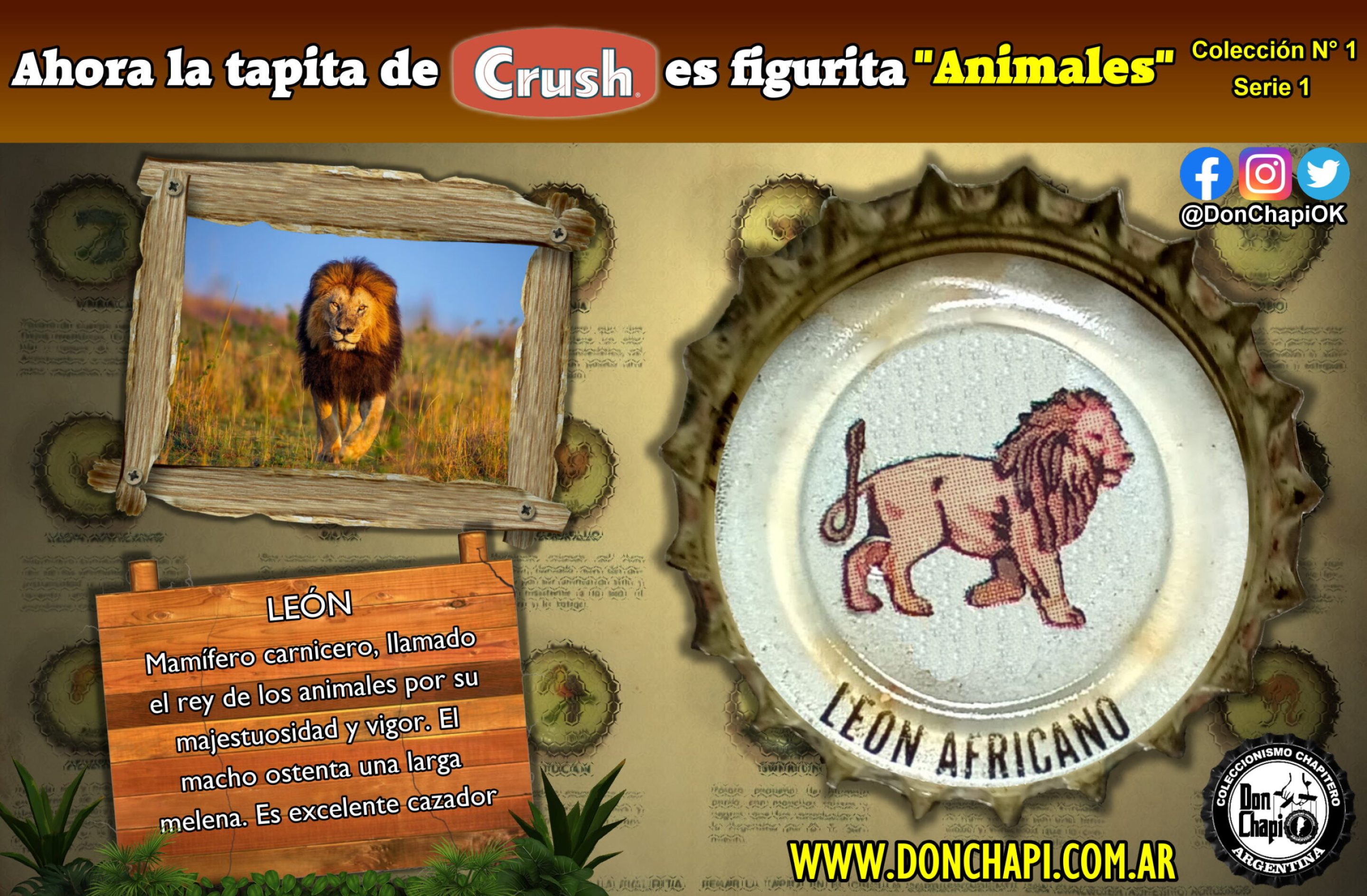 Animales1_07_Leon