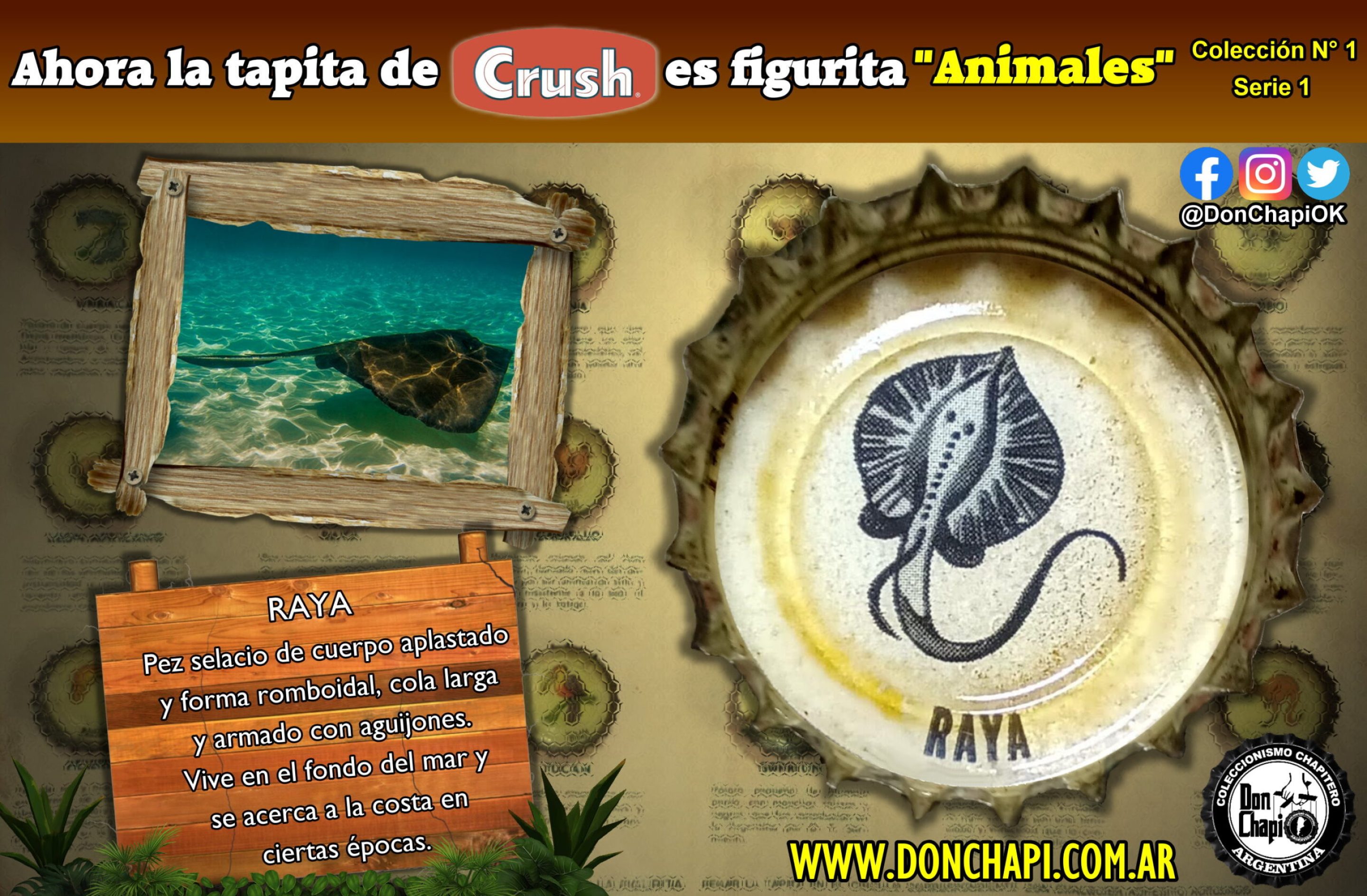 Animales1_08_Raya