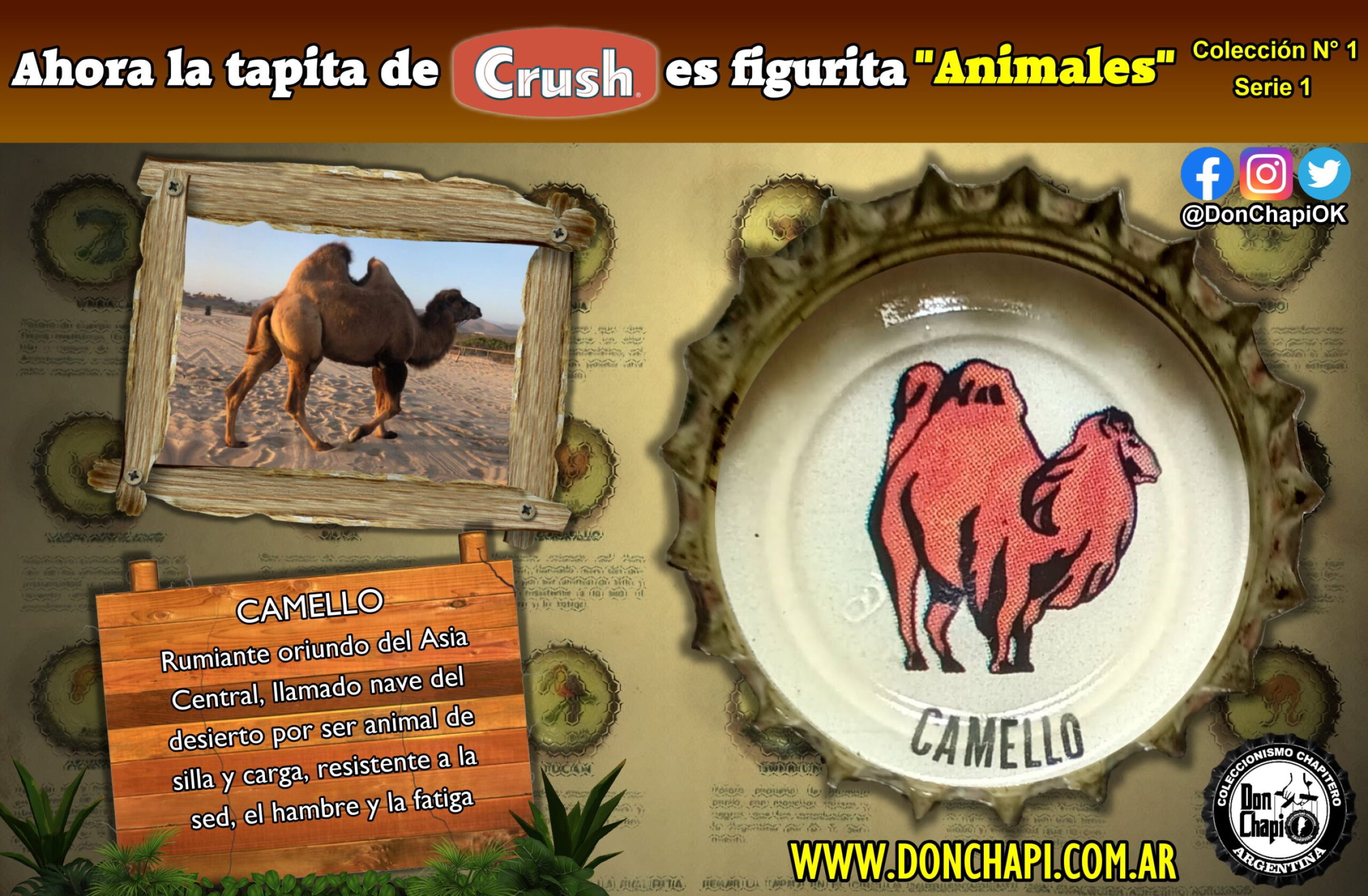 Animales1_09_Camello