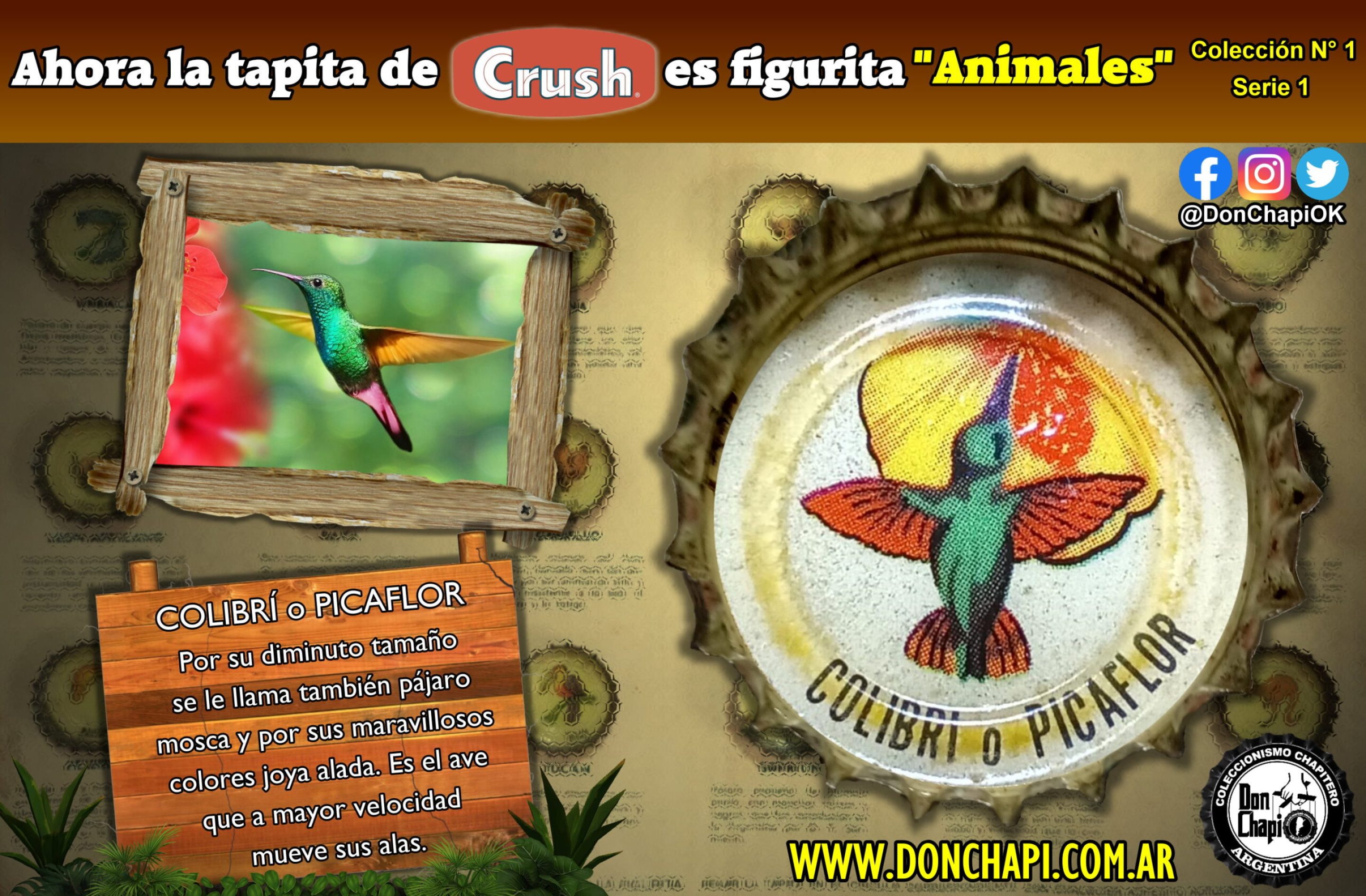 Animales1_10_Colibri
