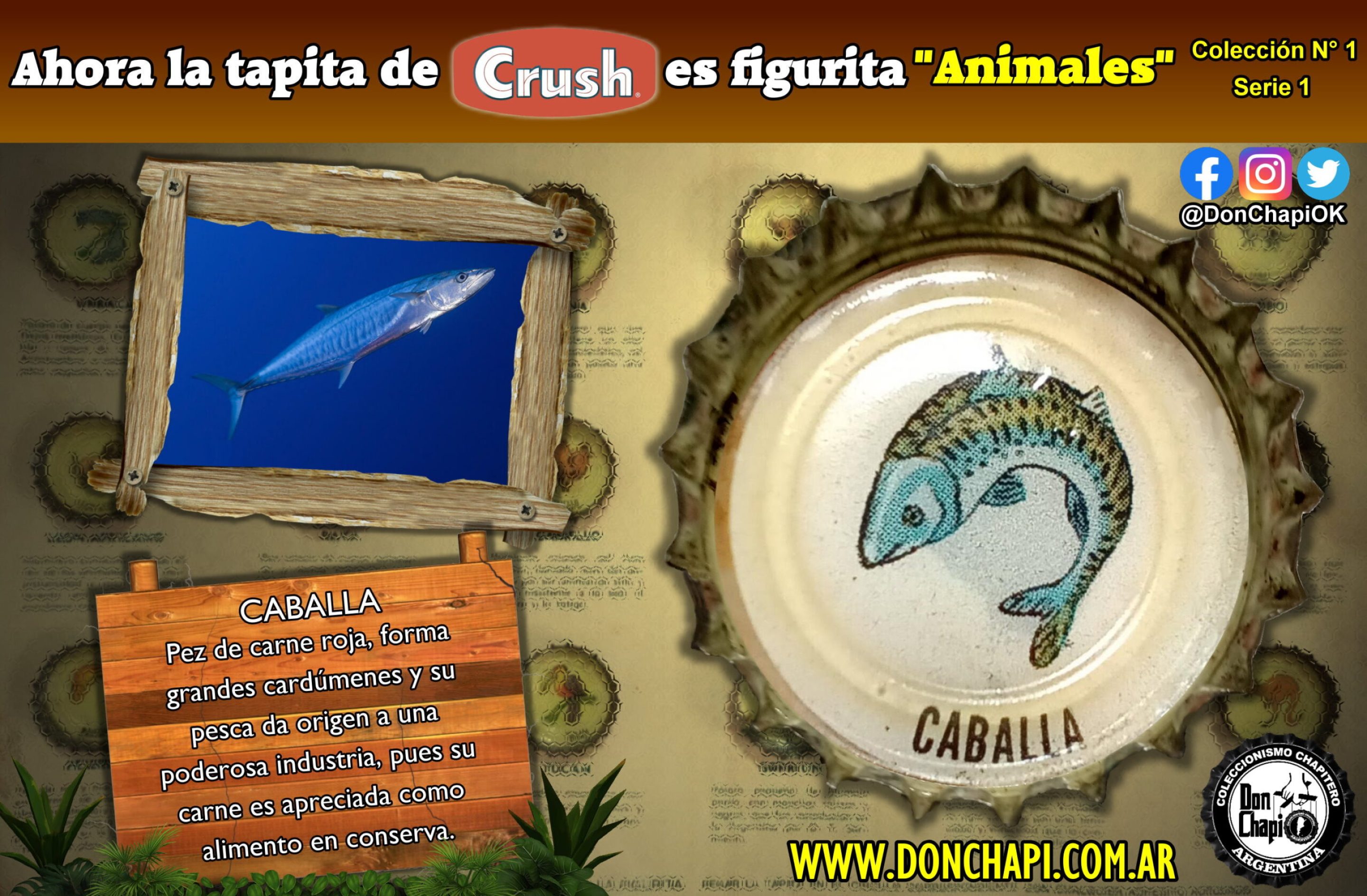 Animales1_11_Caballa