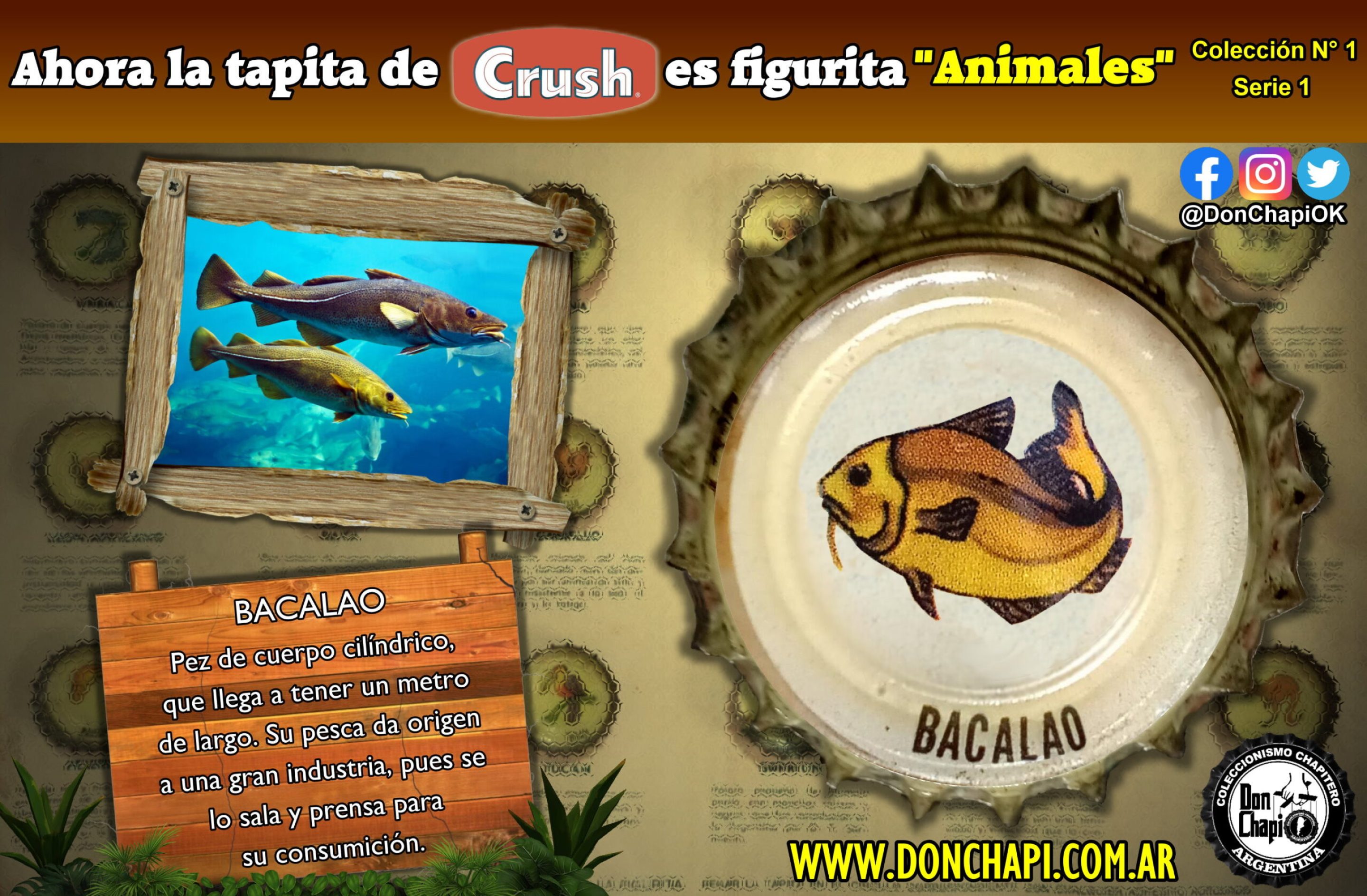 Animales1_12_Bacalao