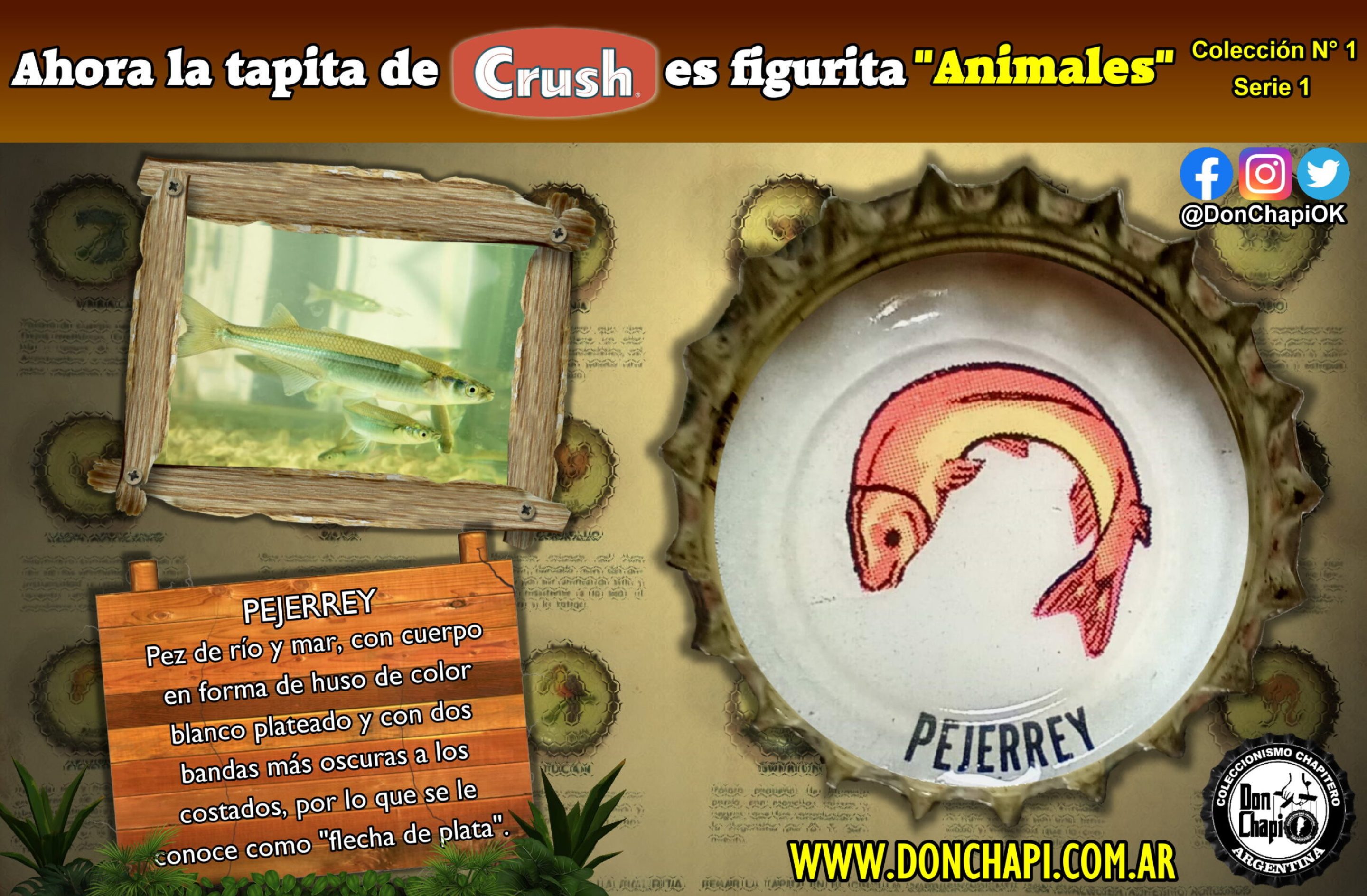 Animales1_13_Pejerrey