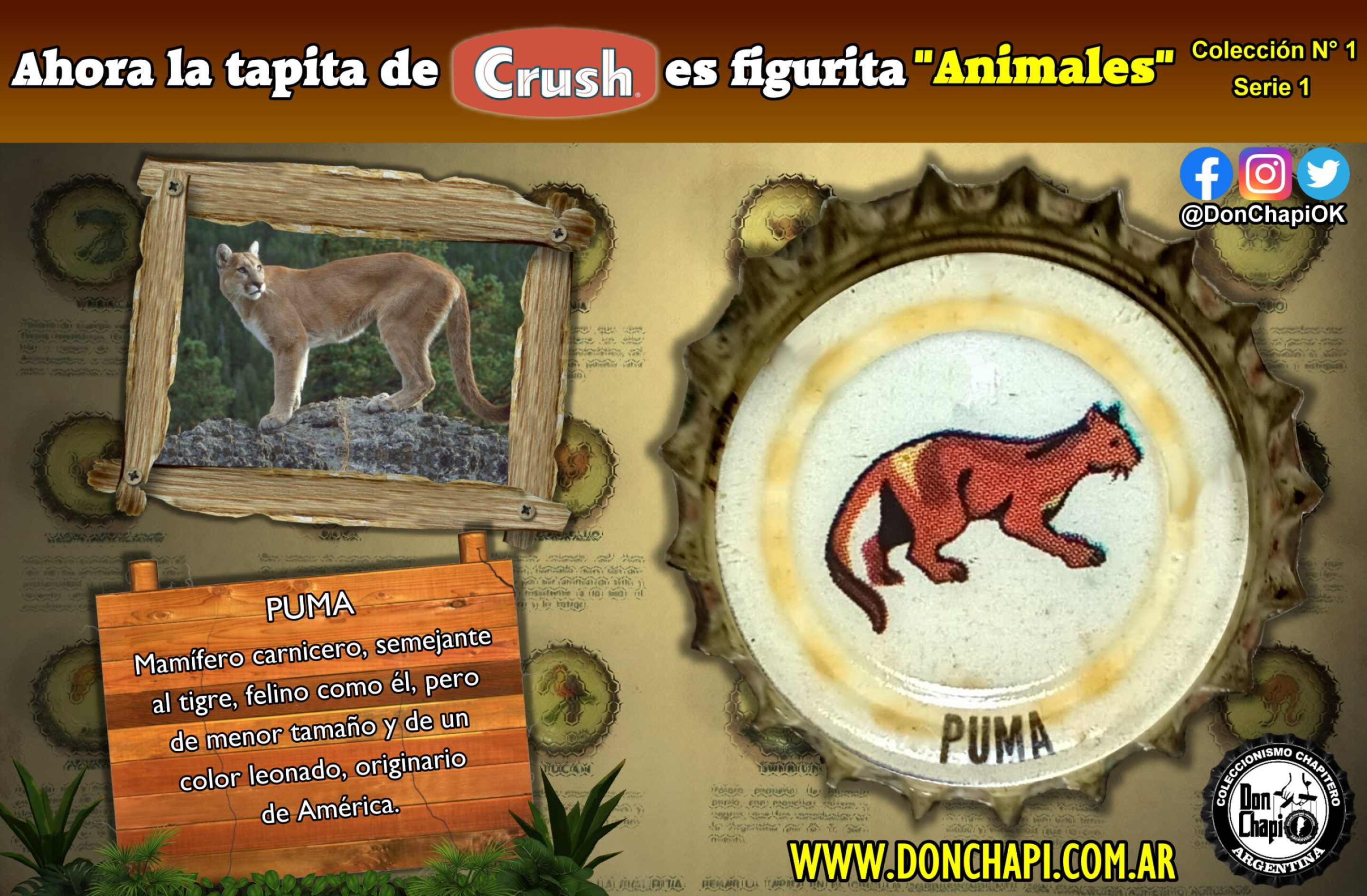 Animales1_14_Puma