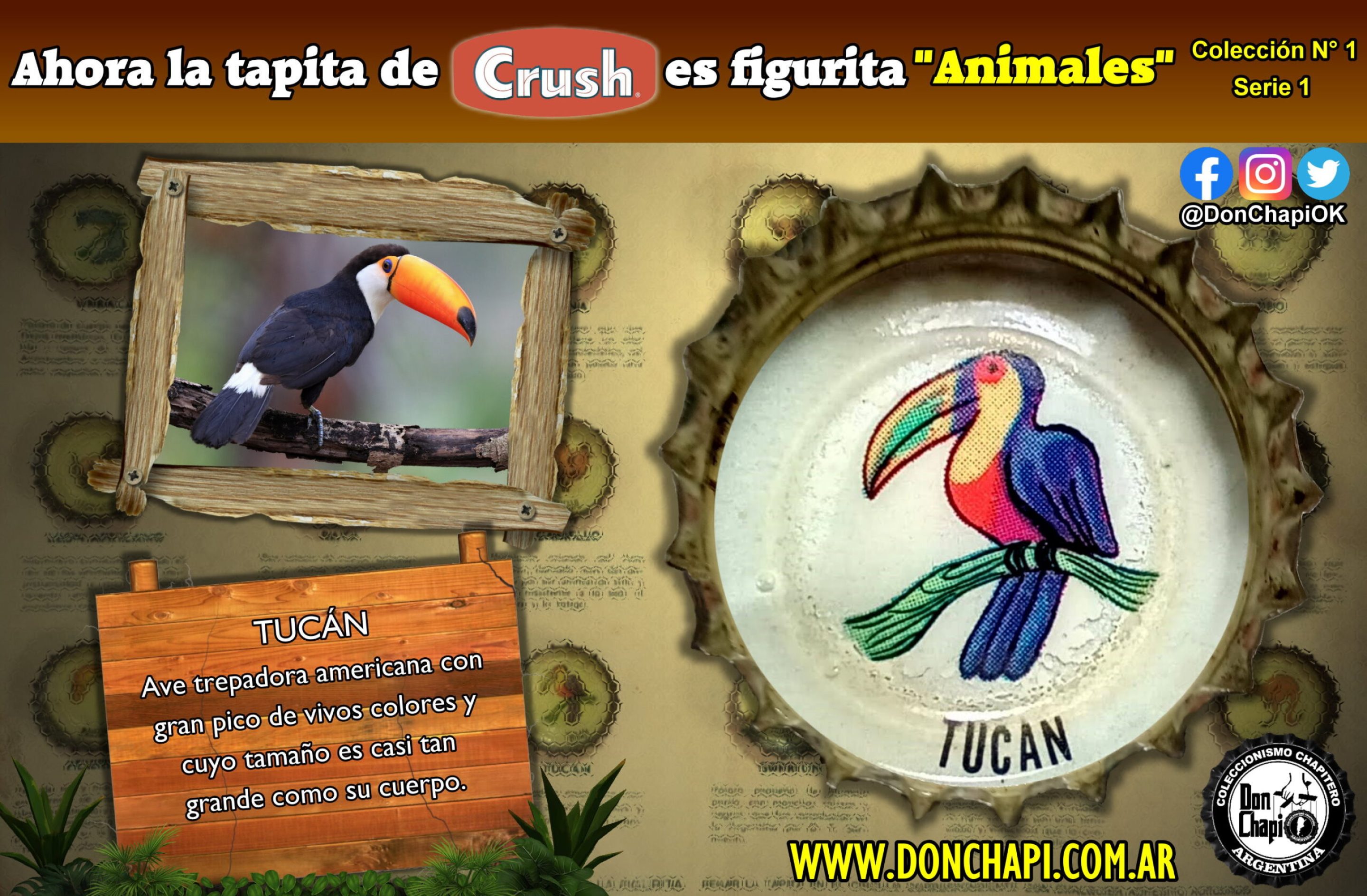 Animales1_15_Tucan
