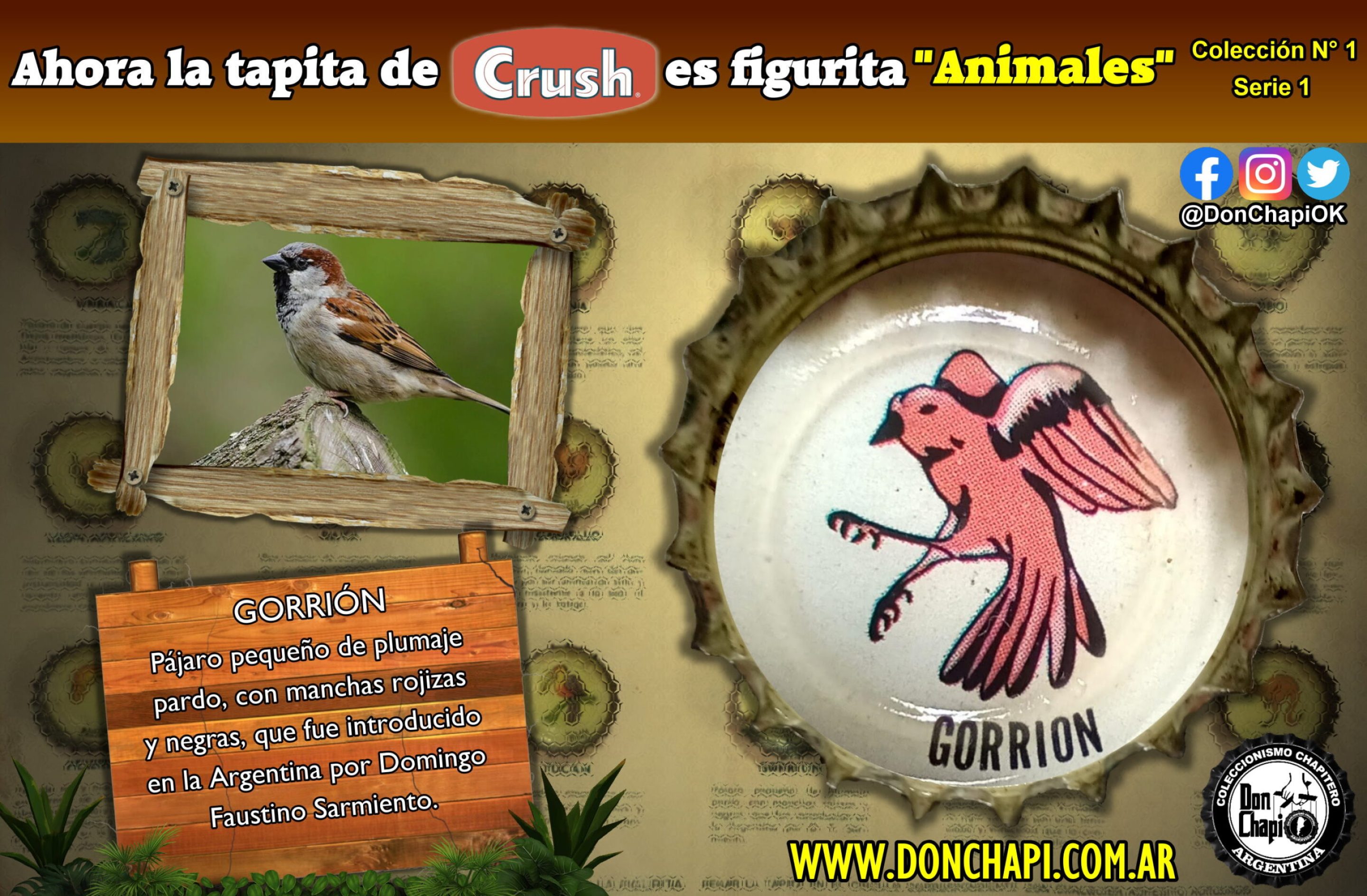Animales1_16_Gorrion
