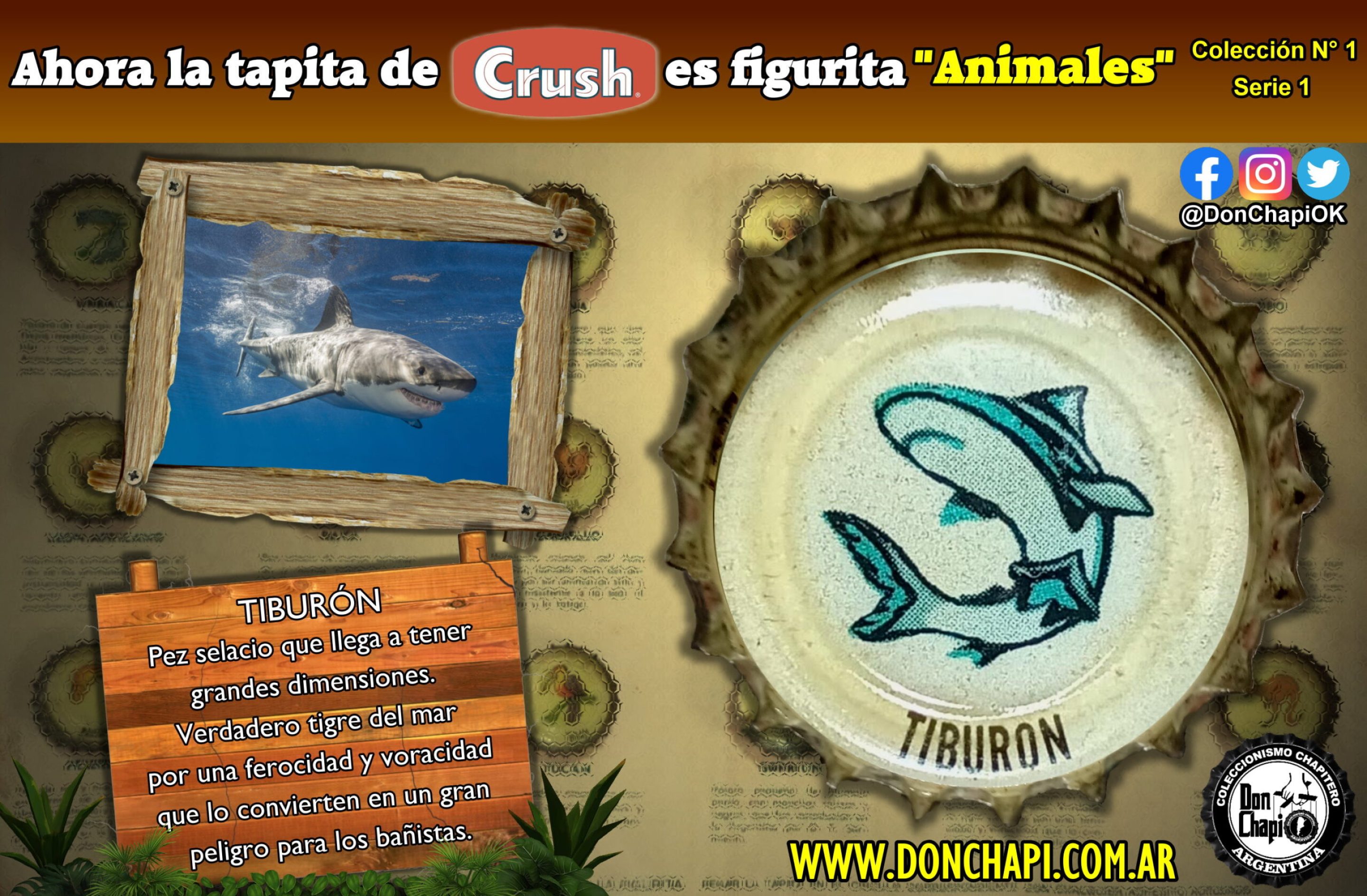 Animales1_17_Tiburon