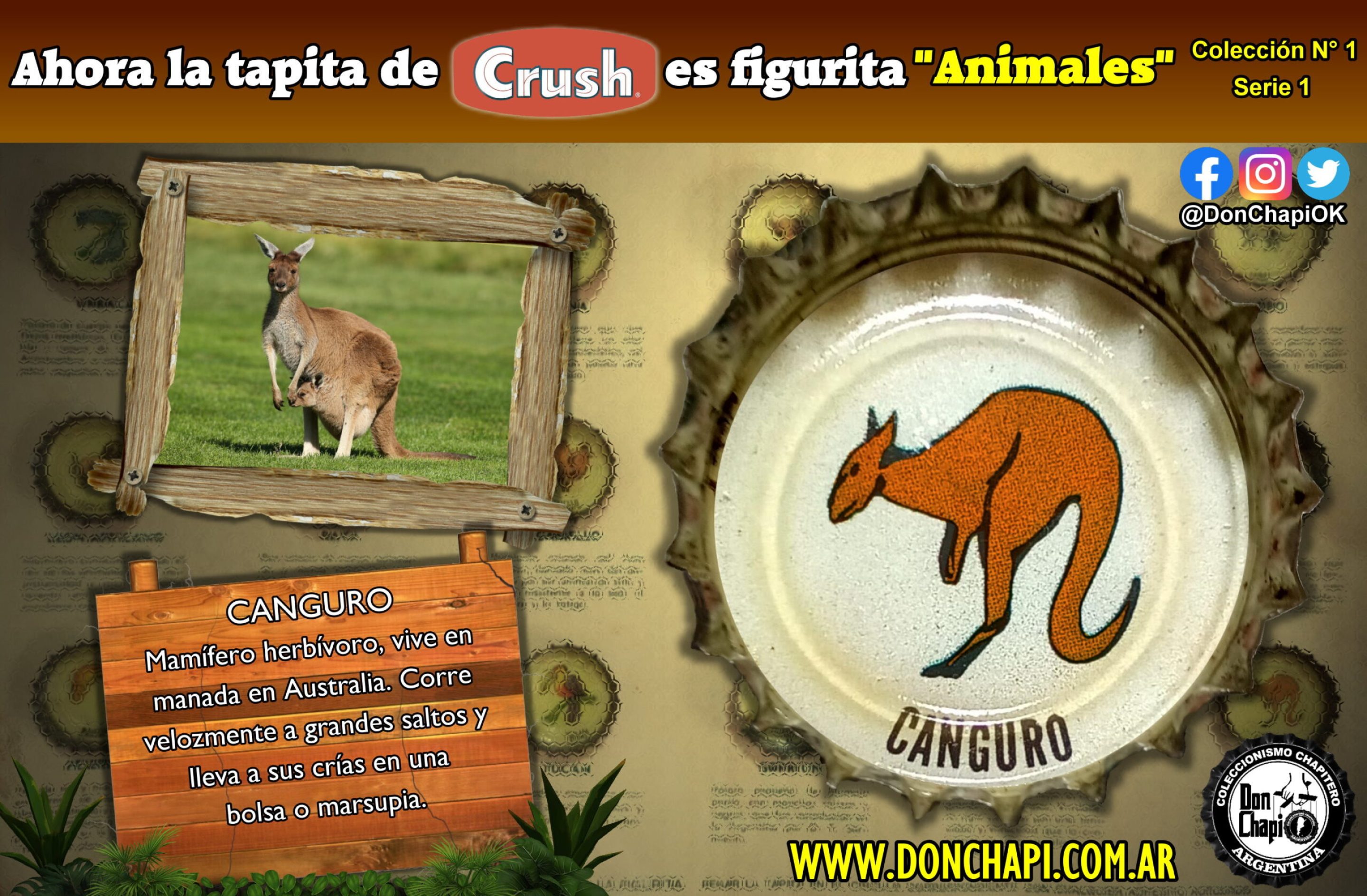 Animales1_18_Canguro