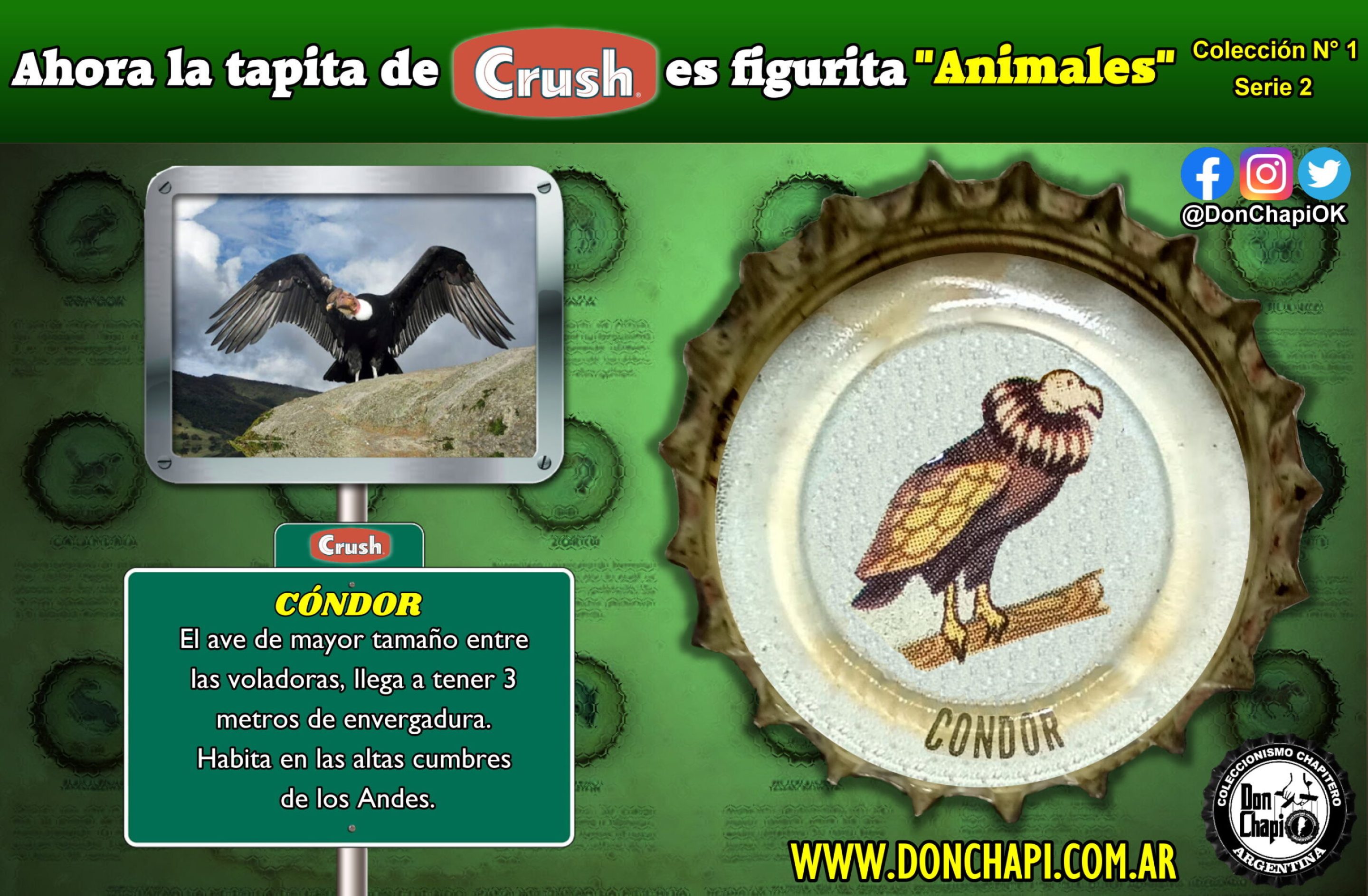 Animales2_001-CONDOR