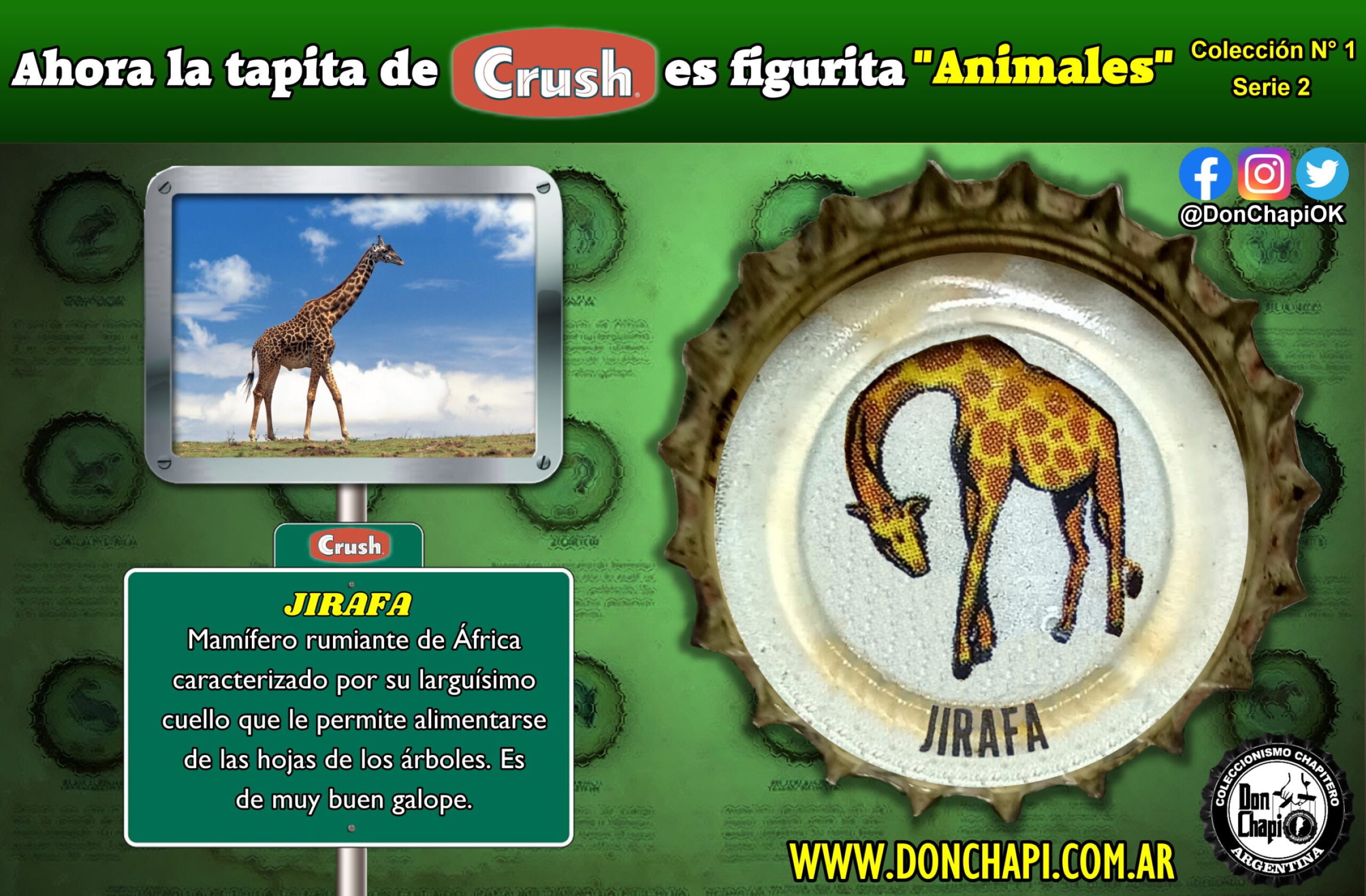 Animales2_003-JIRAFA_