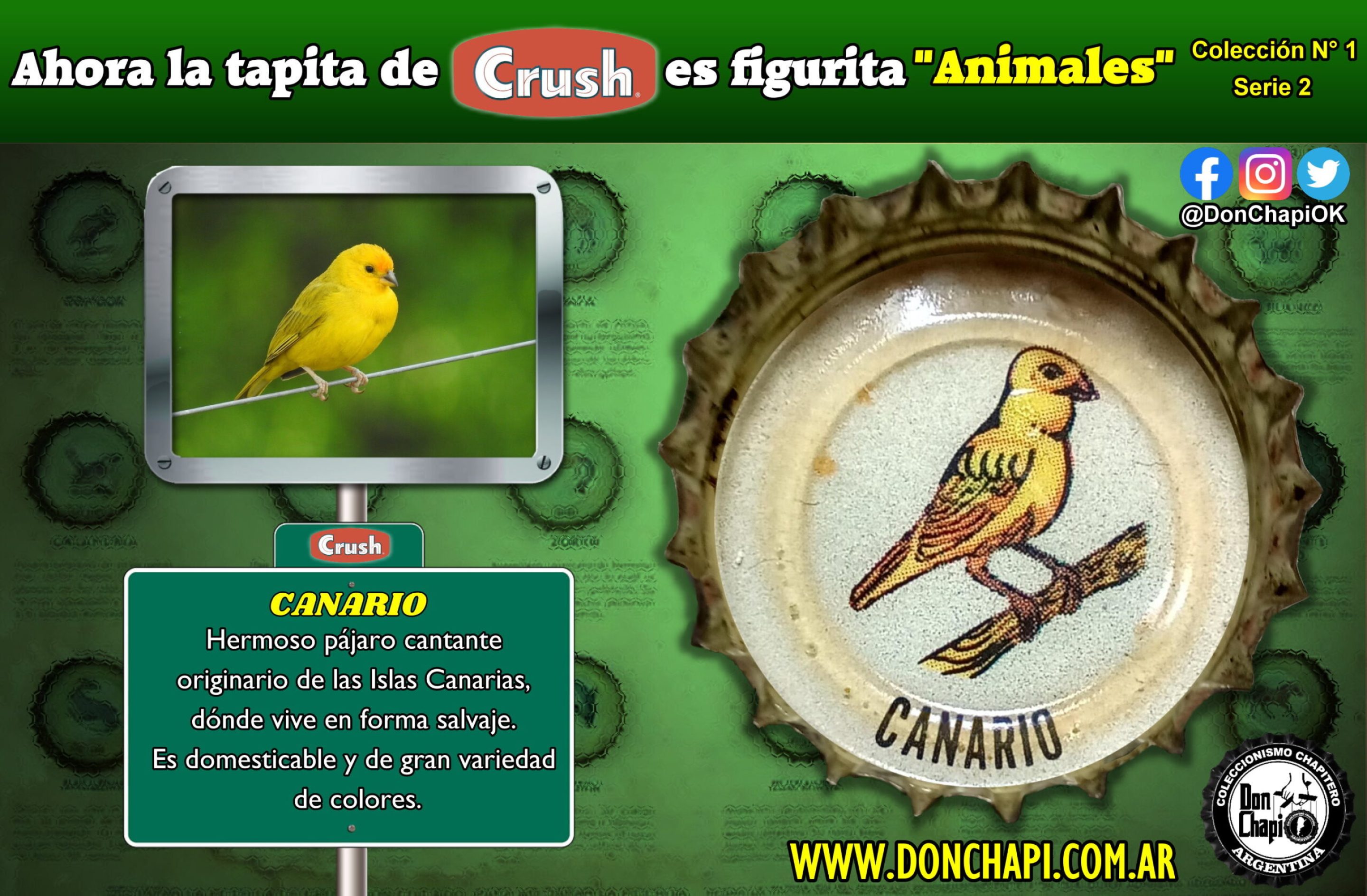 Animales2_004-CANARIO