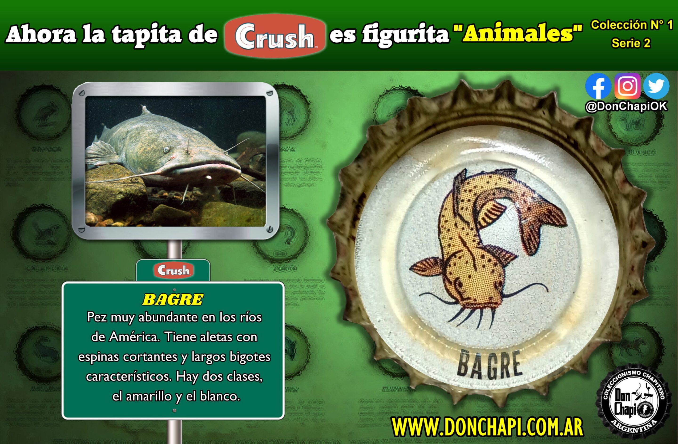 Animales2_005-BAGRE