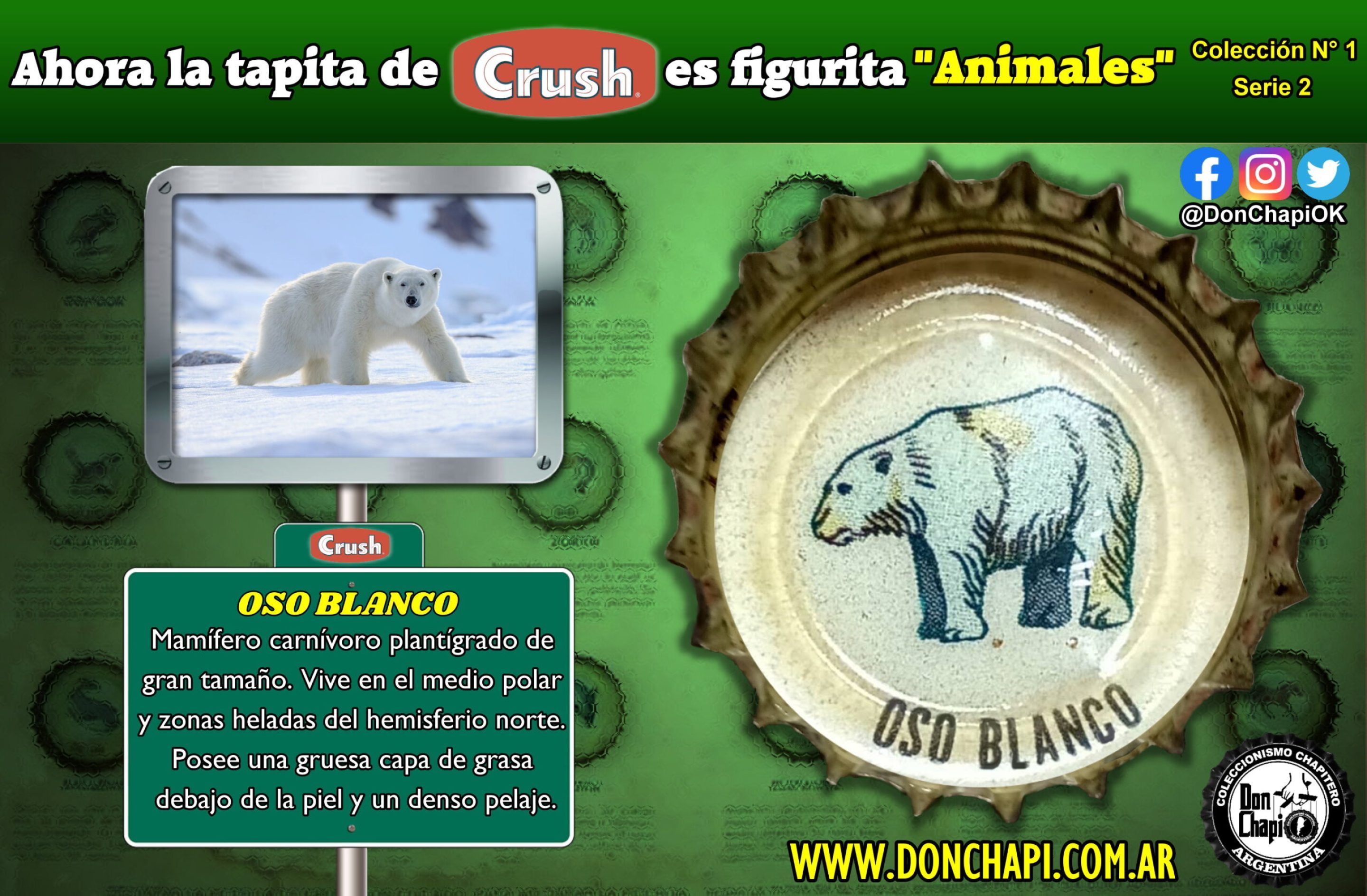 Animales2_006-OSO_BLANCO