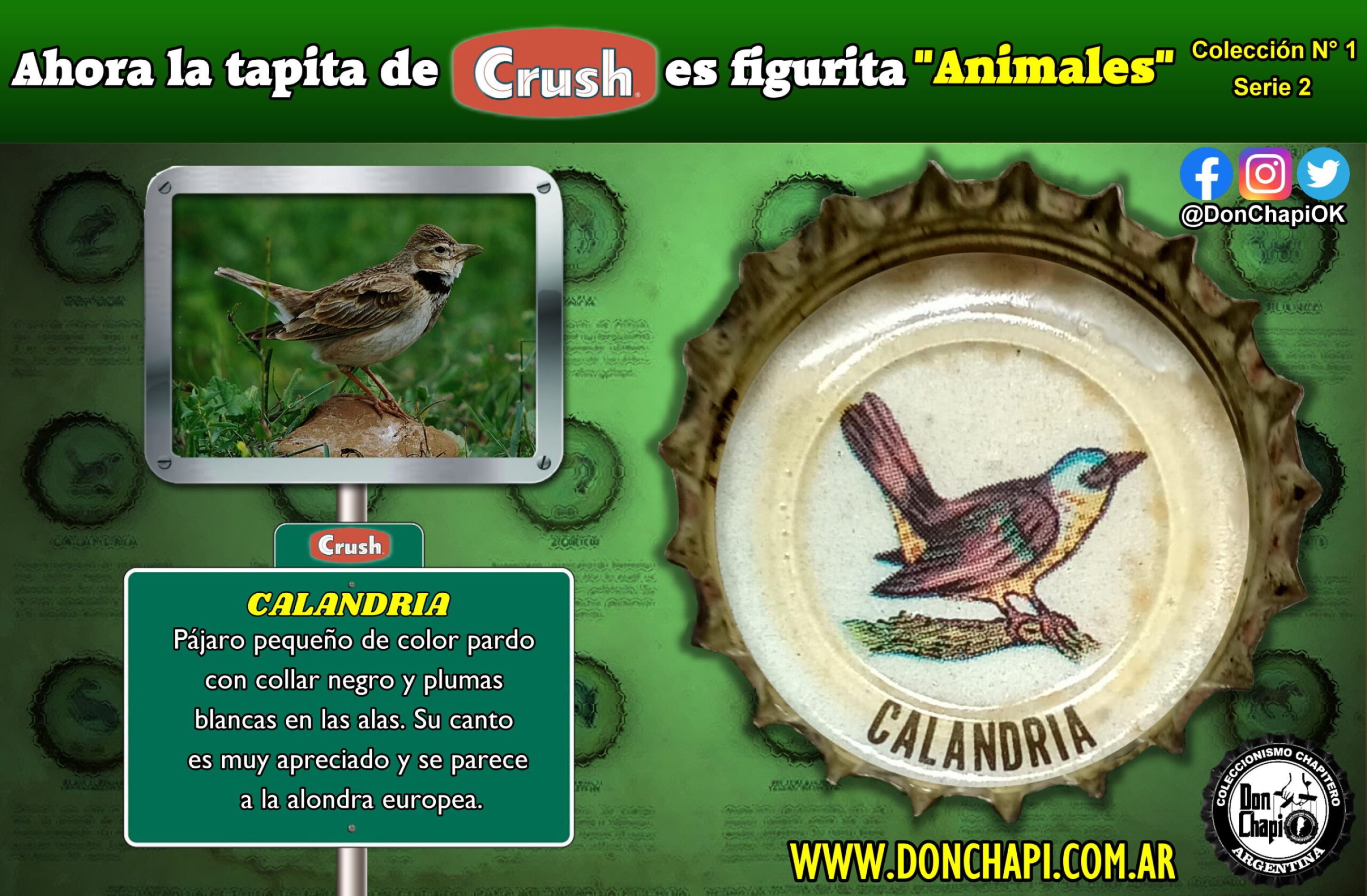 Animales2_007-CALANDRIA