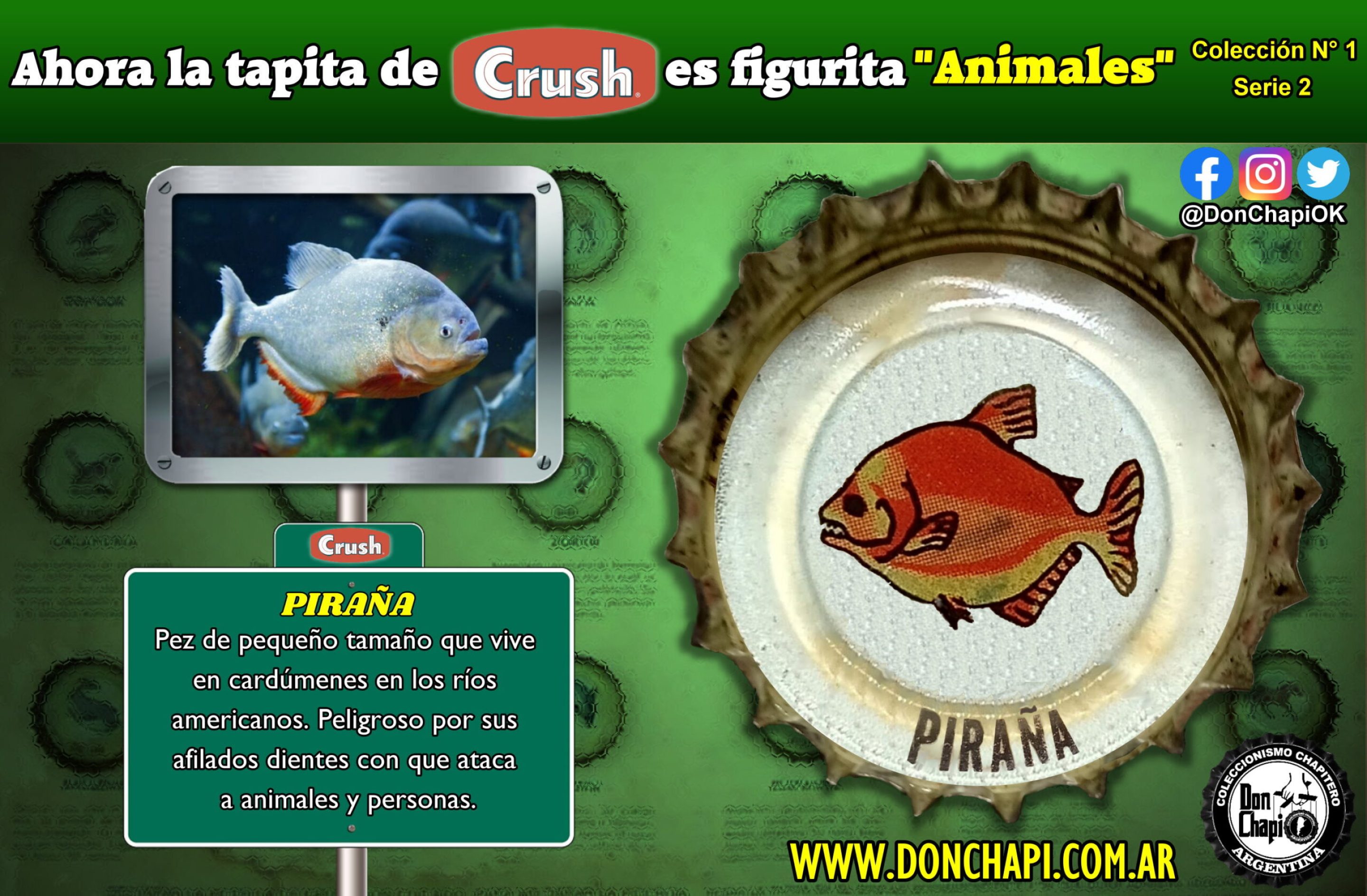 Animales2_008-PIRAÑA