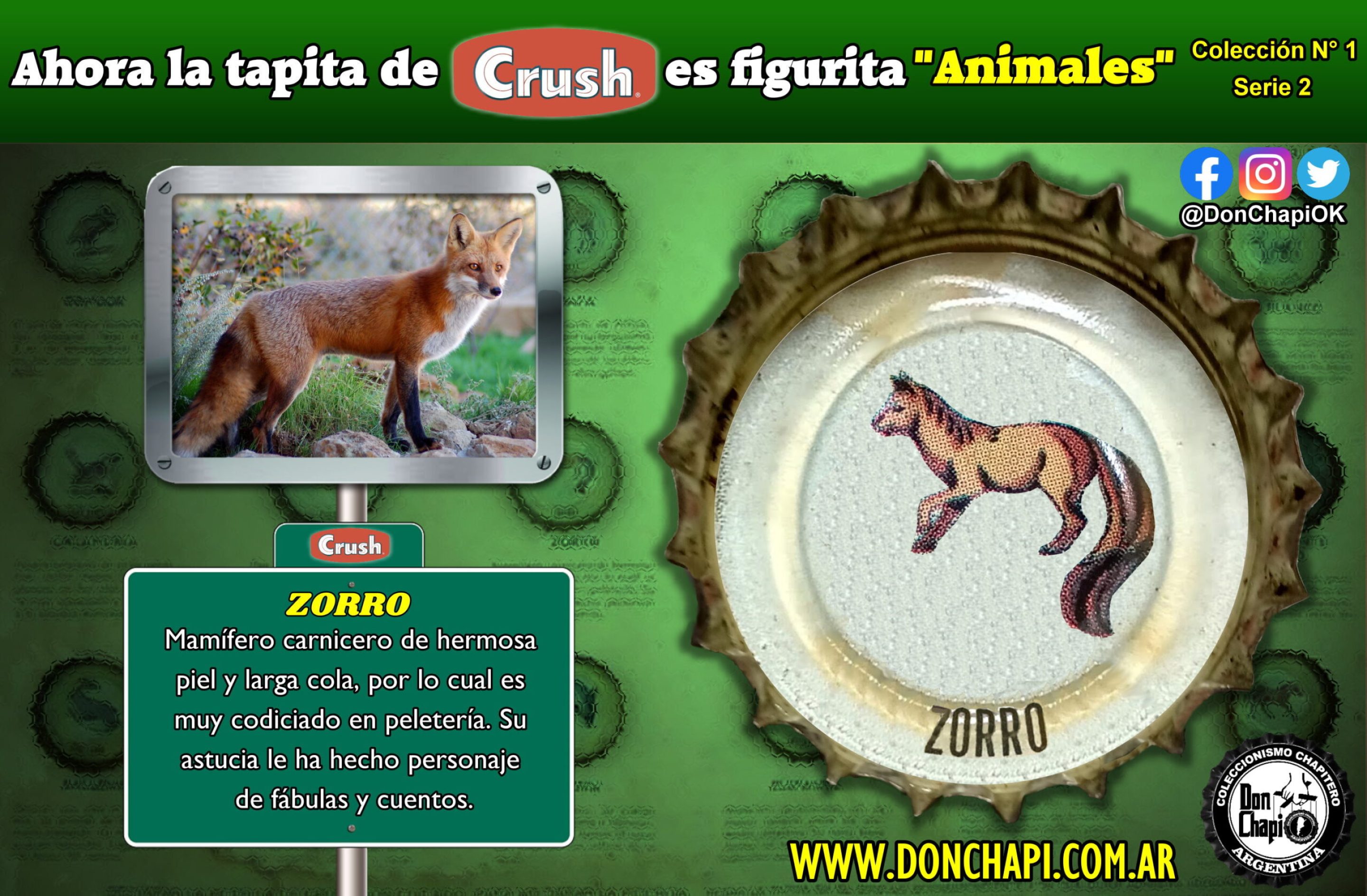 Animales2_009-ZORRO