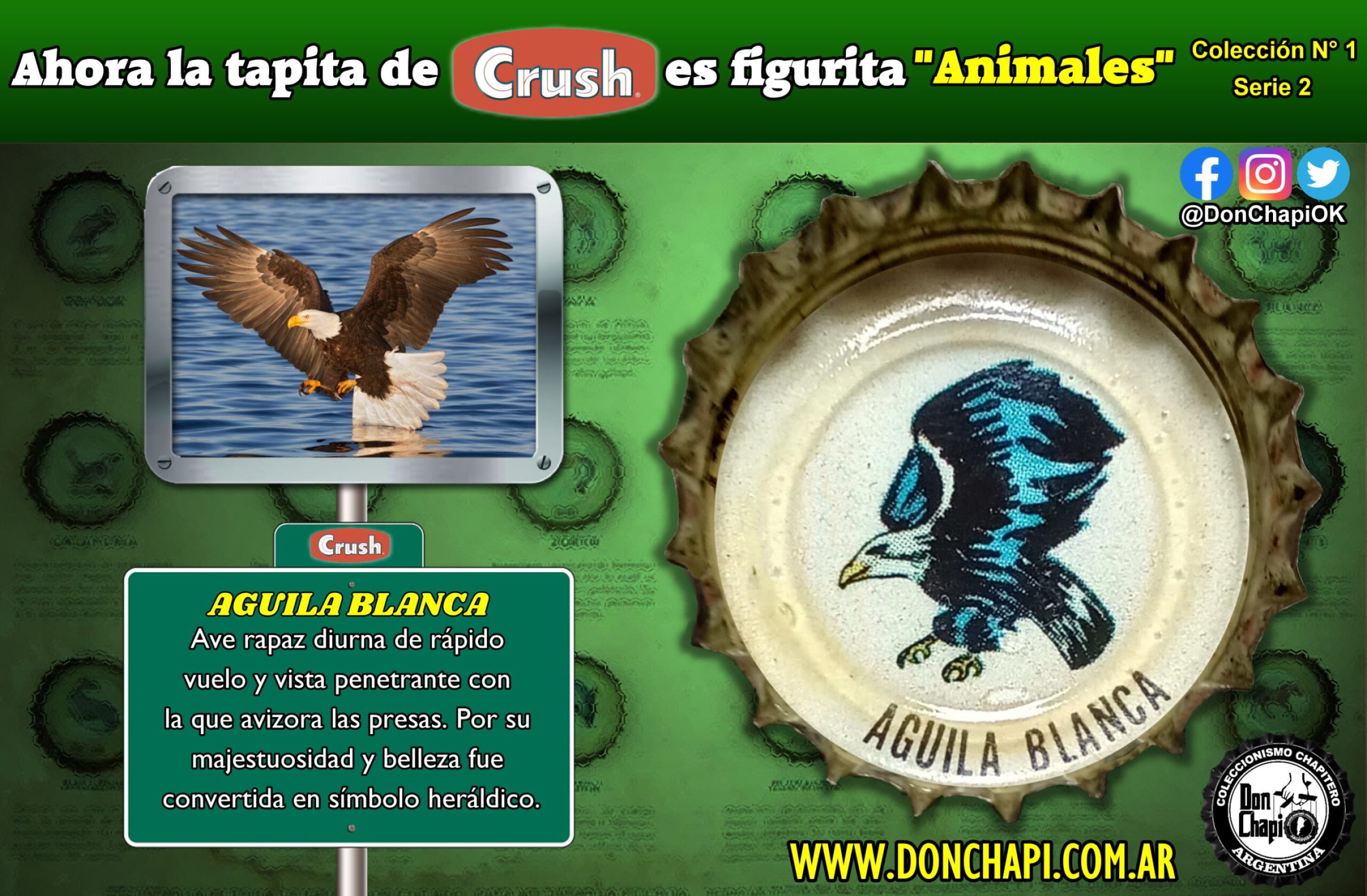 Animales2_010_AGUILA