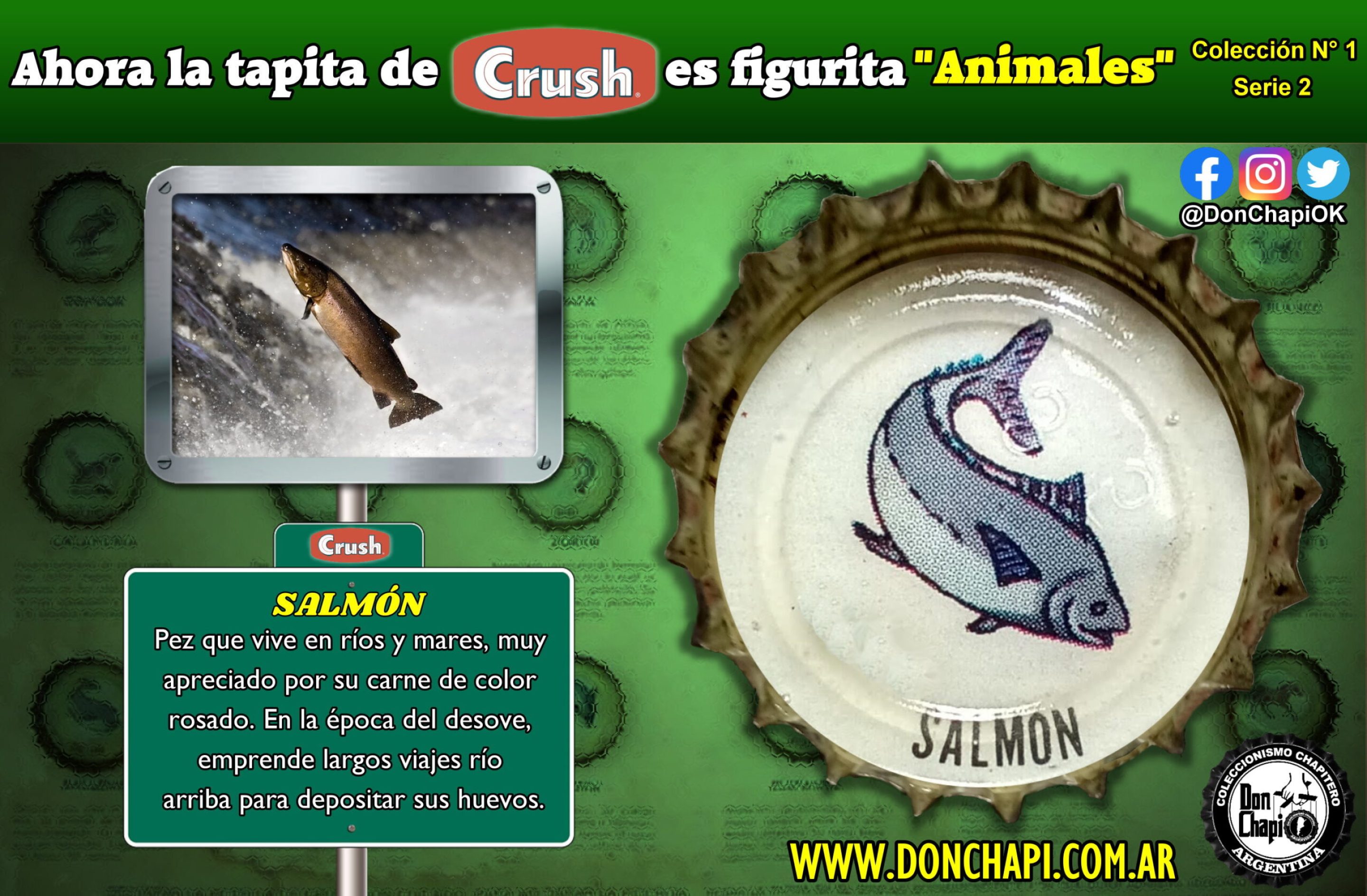 Animales2_011-SALMON