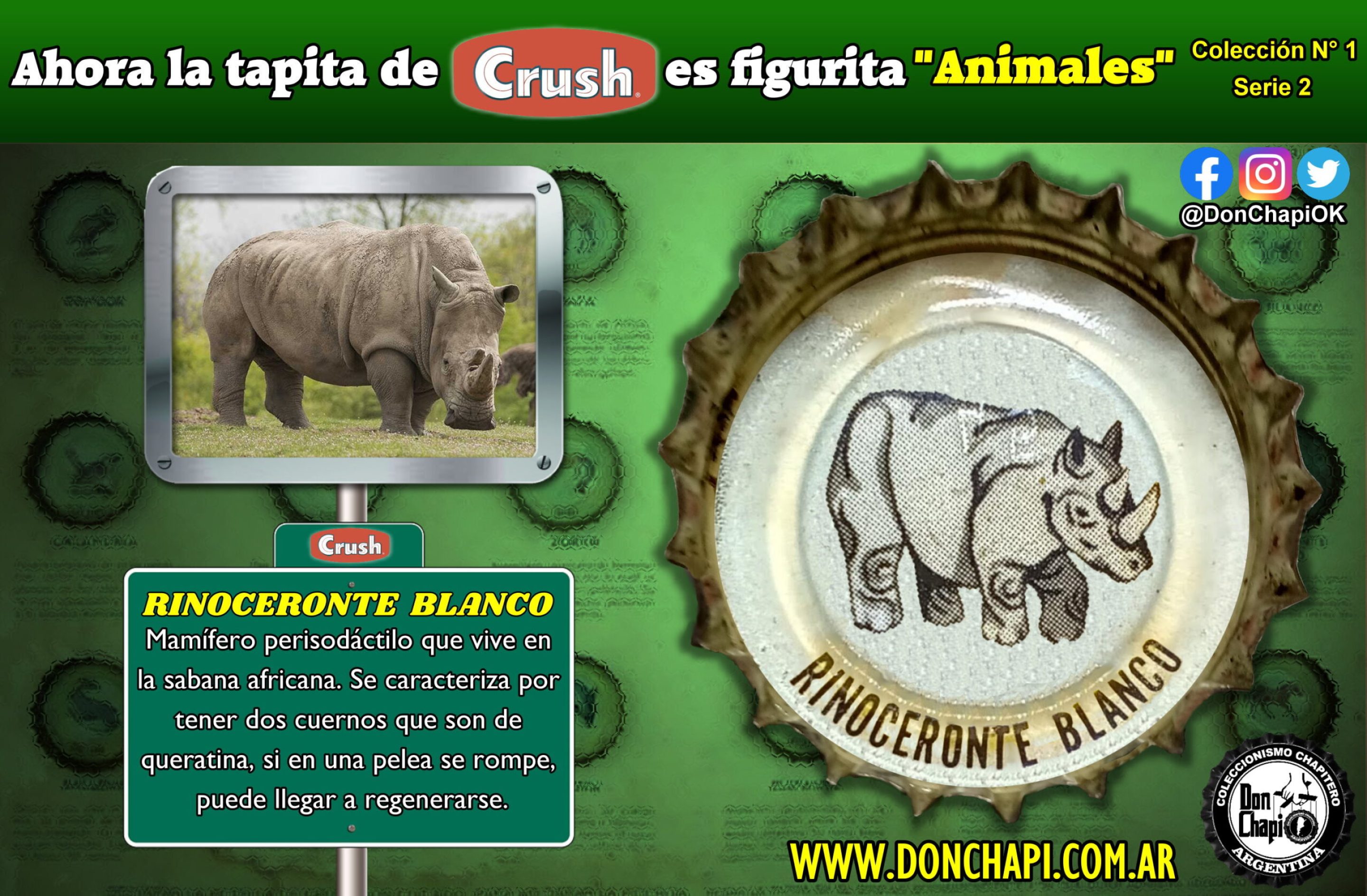 Animales2_012-RINO