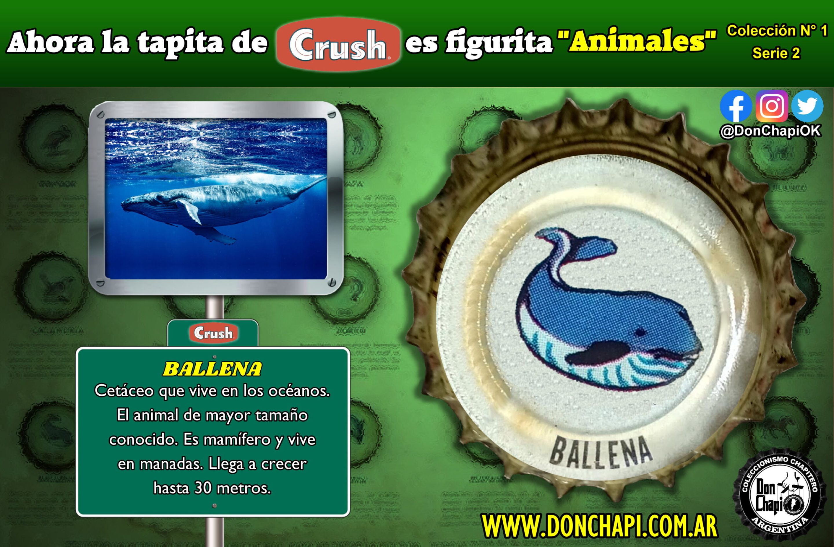Animales2_013-BALLENA