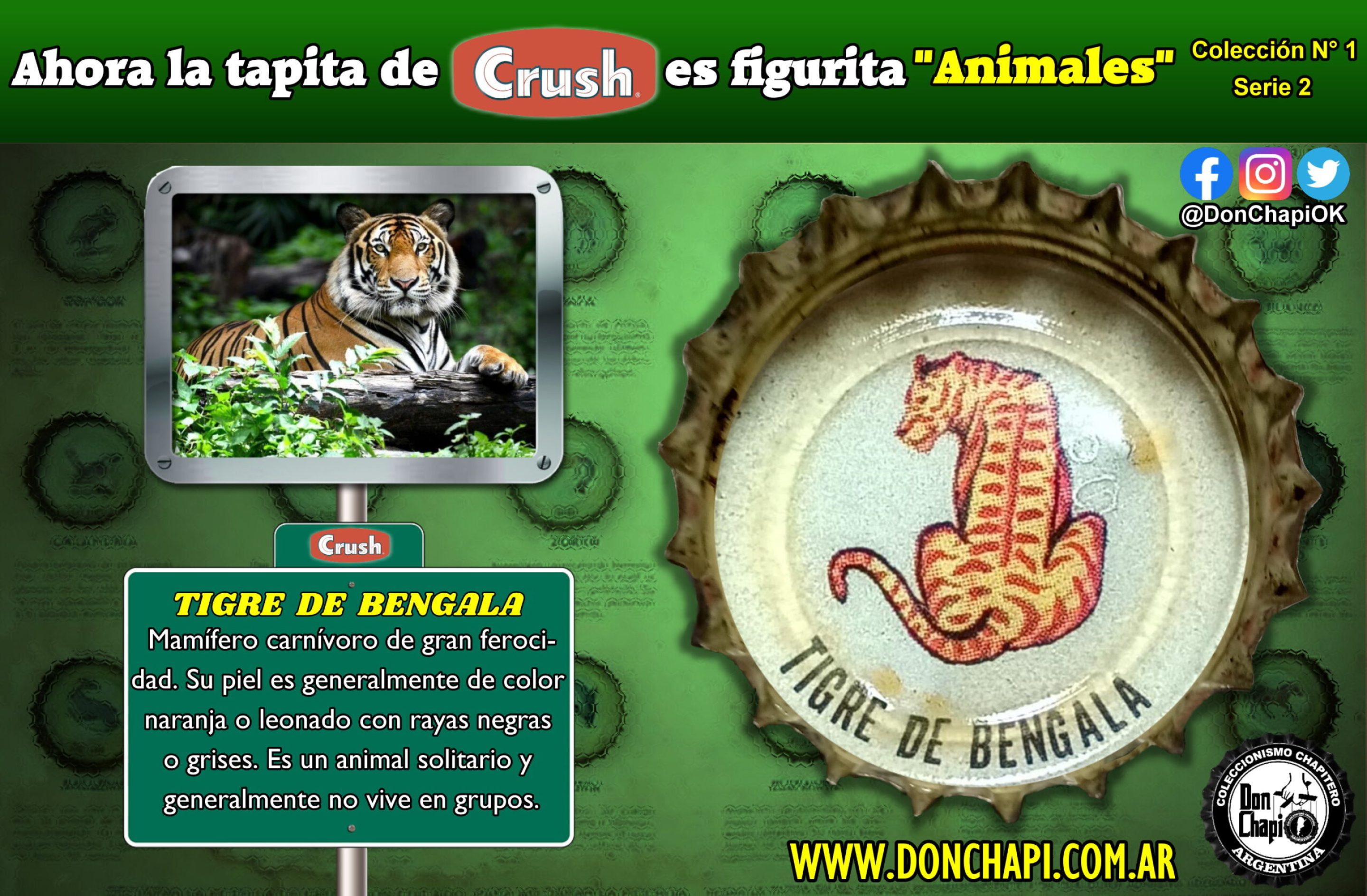 Animales2_014-TIGRE