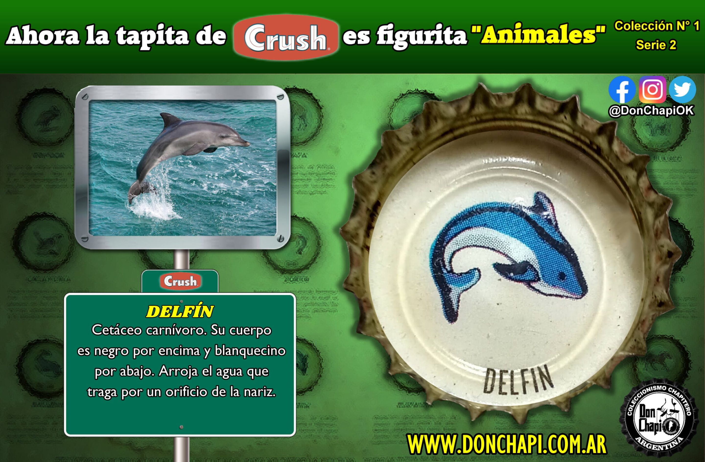Animales2_015-DELFIN