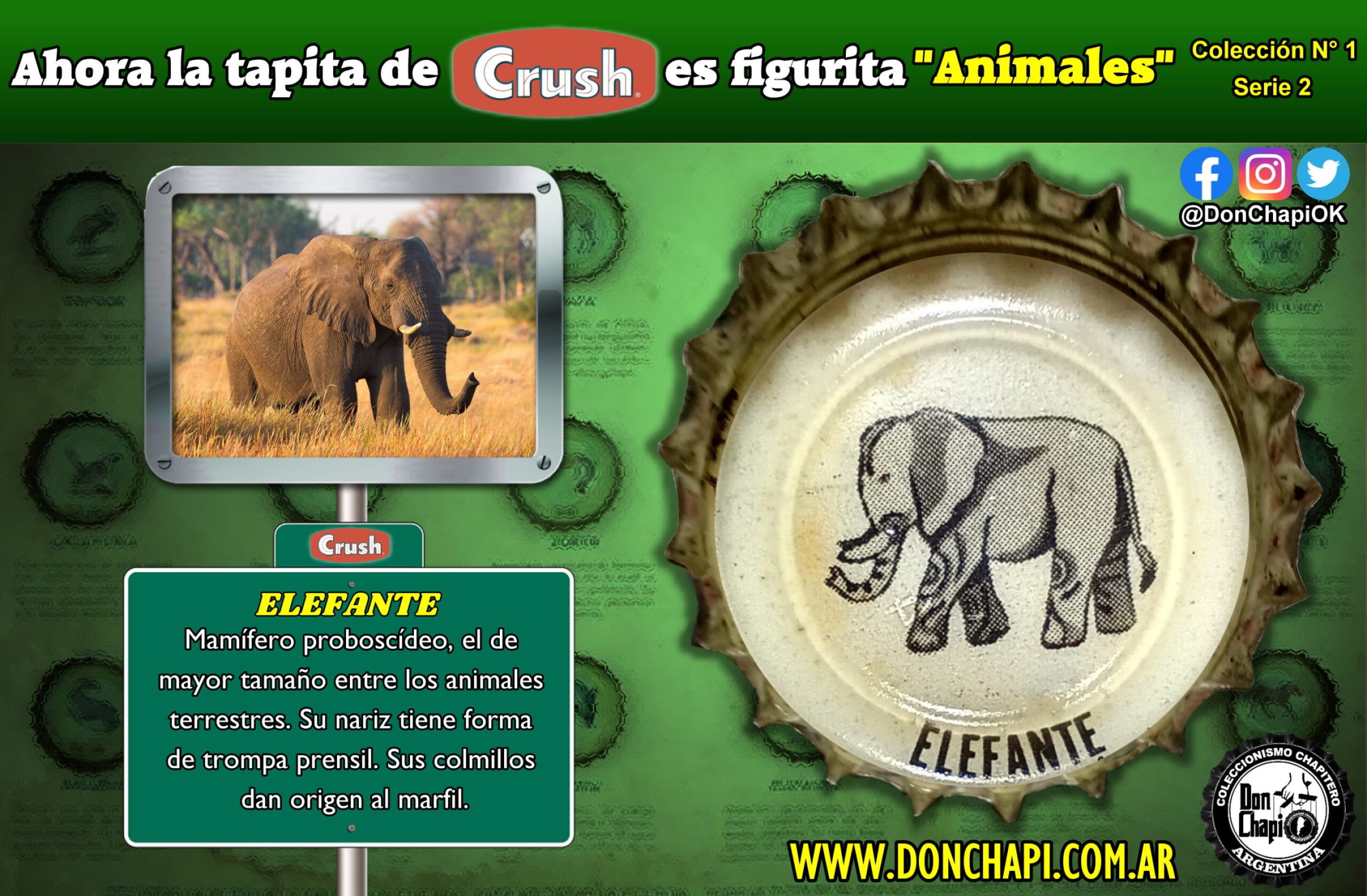 Animales2_016-ELEFANTE