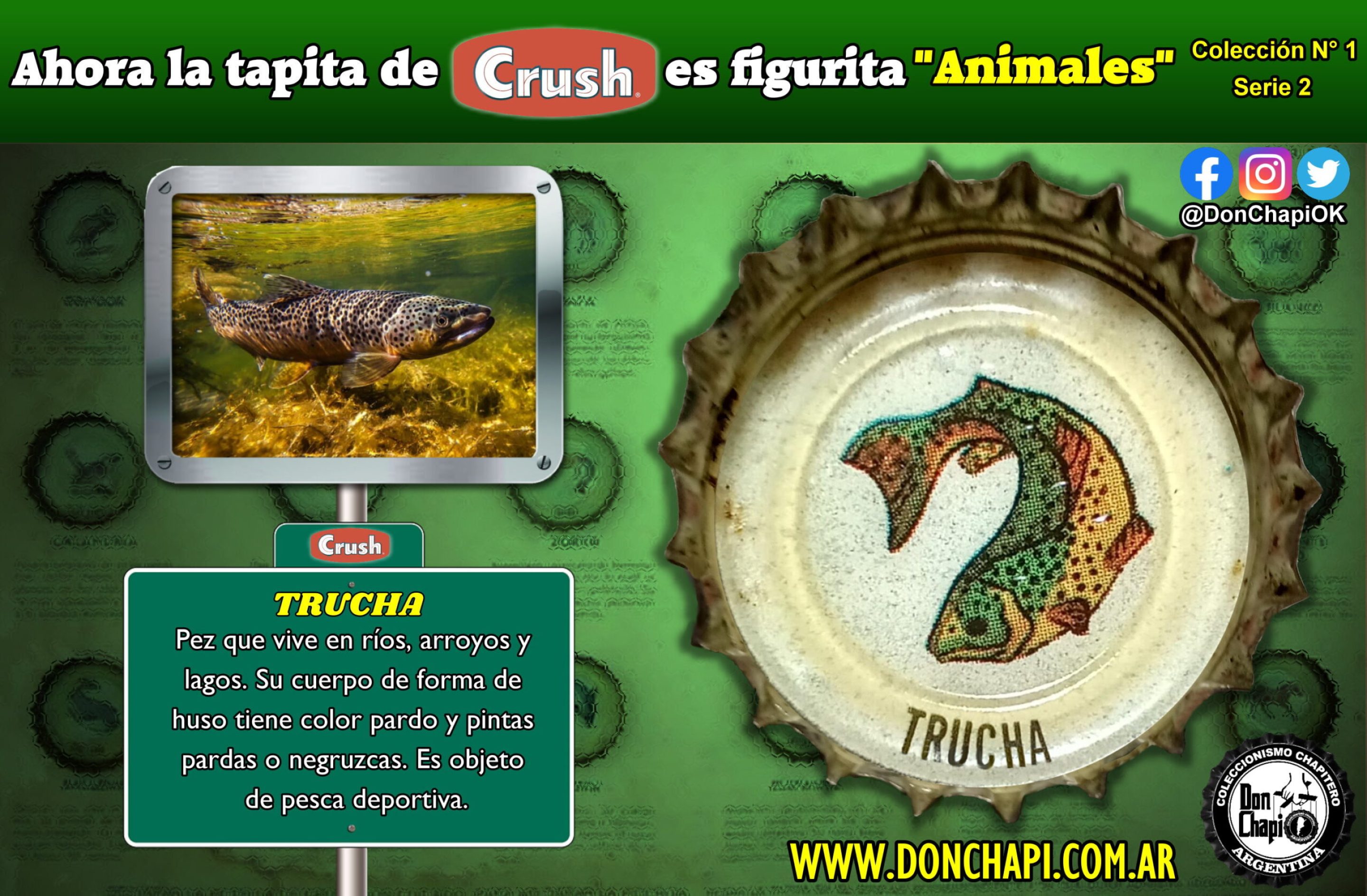 Animales2_017-TRUCHA