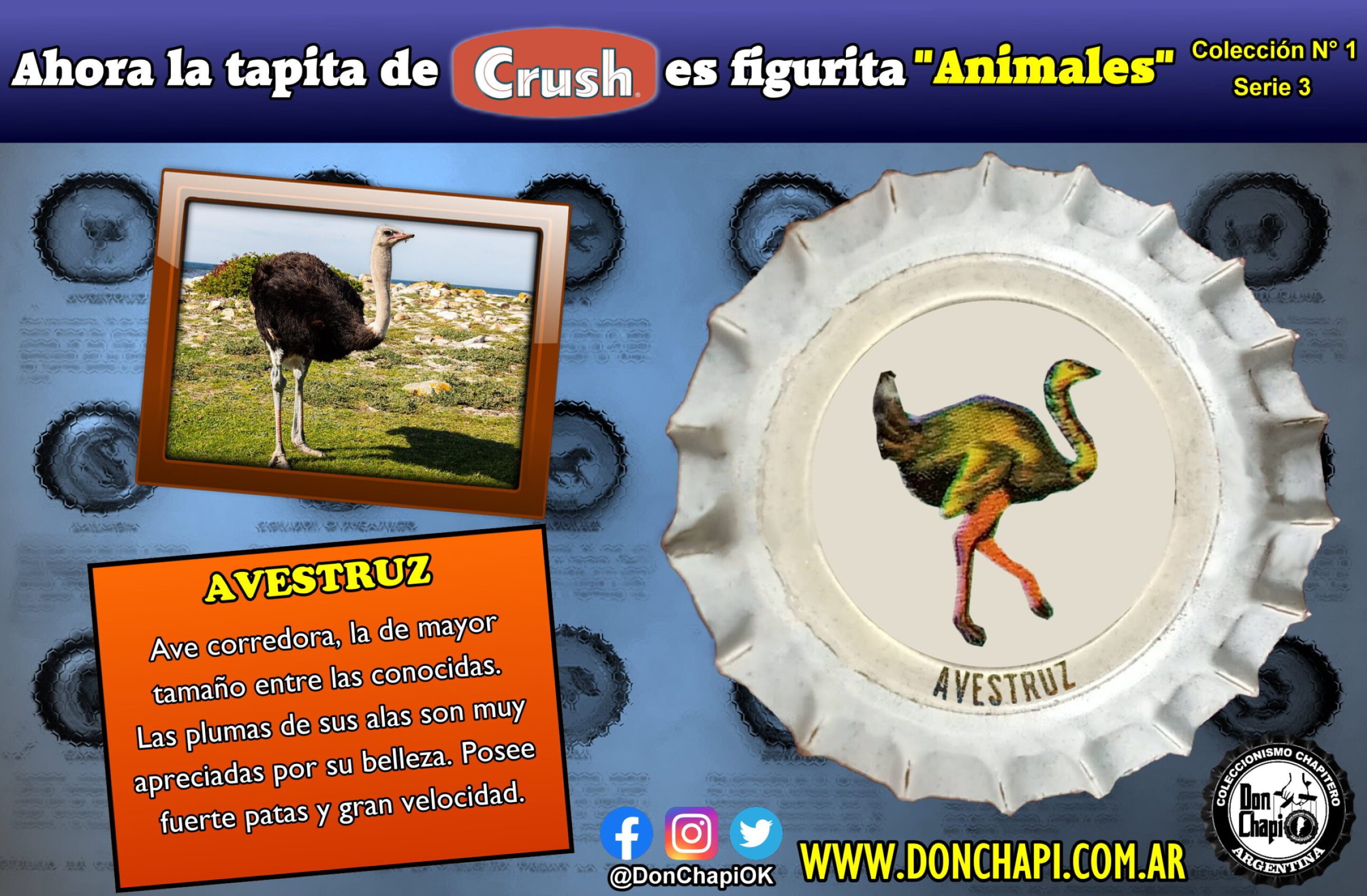 Animales302-AVESTRUZ