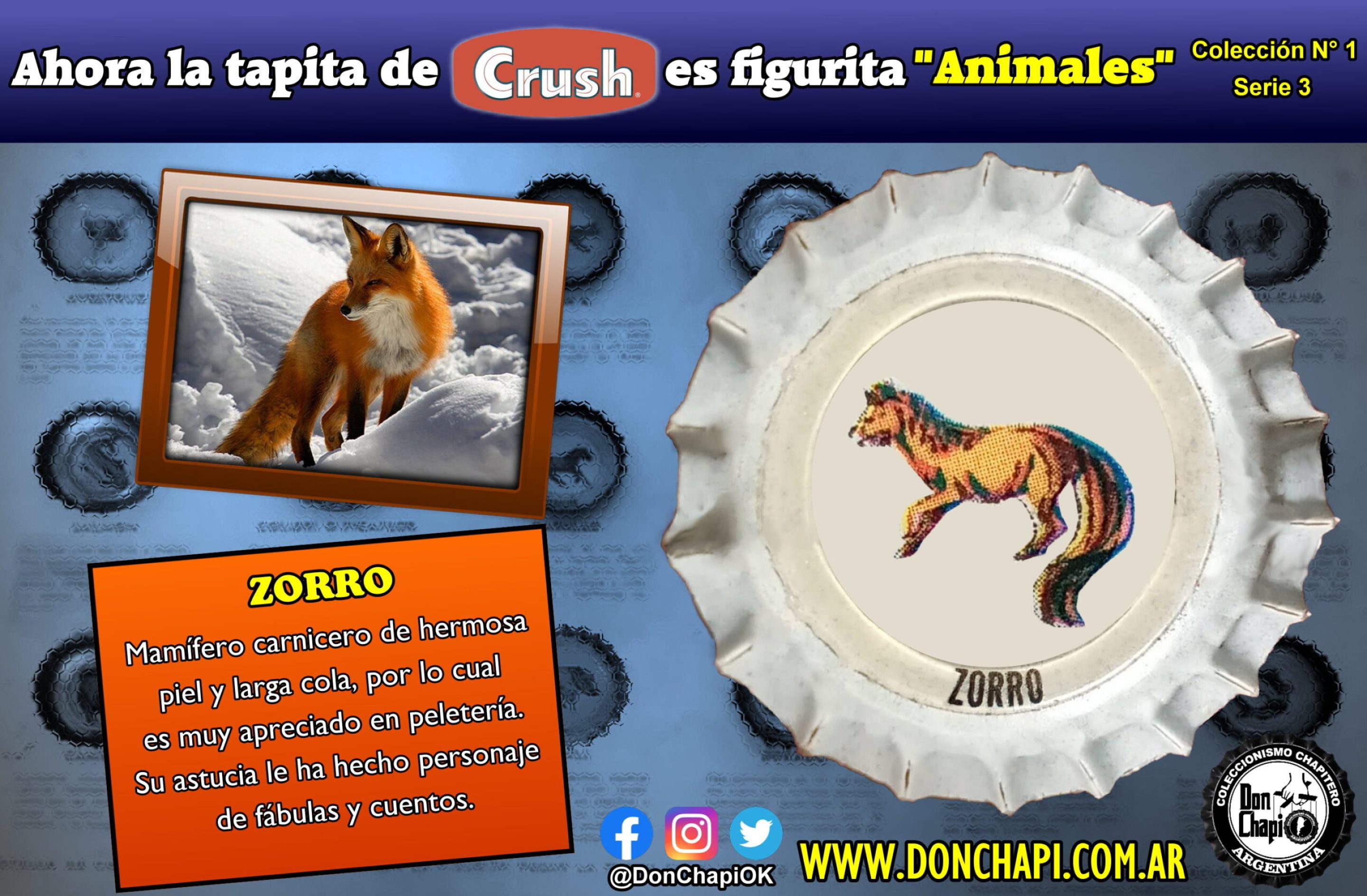 Animales303-ZORRO