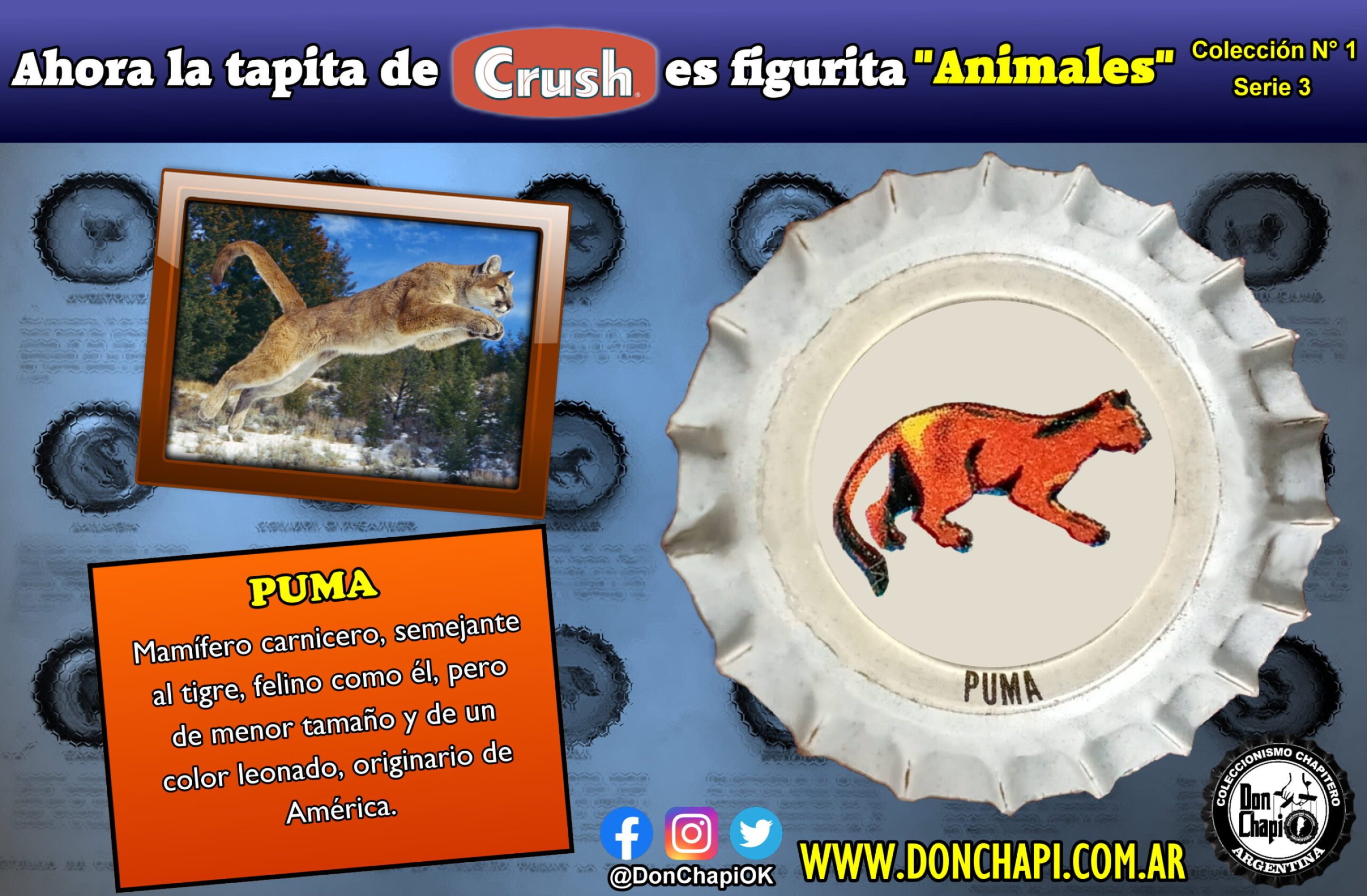 Animales304-PUMA