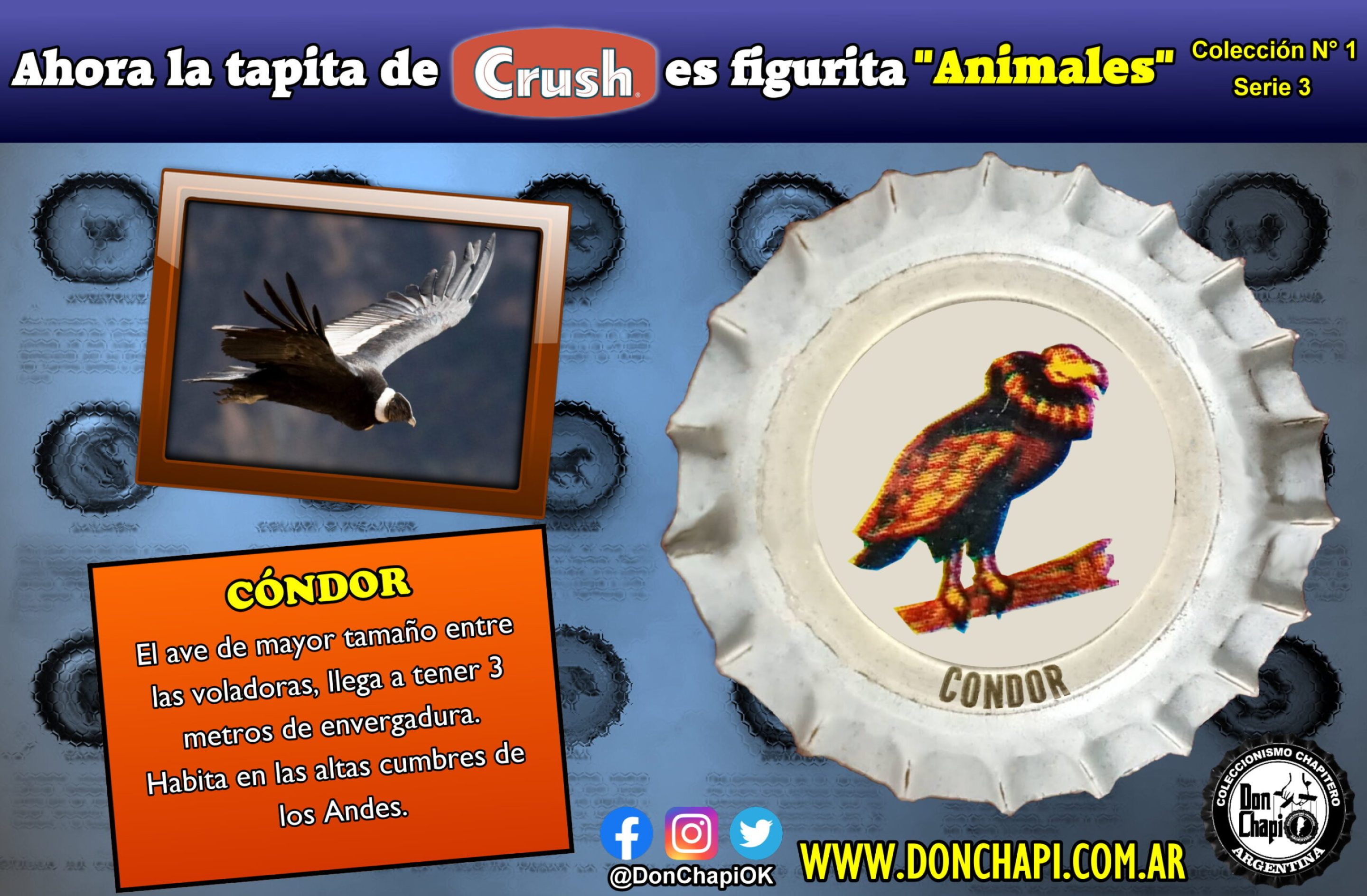 Animales305-CONDOR