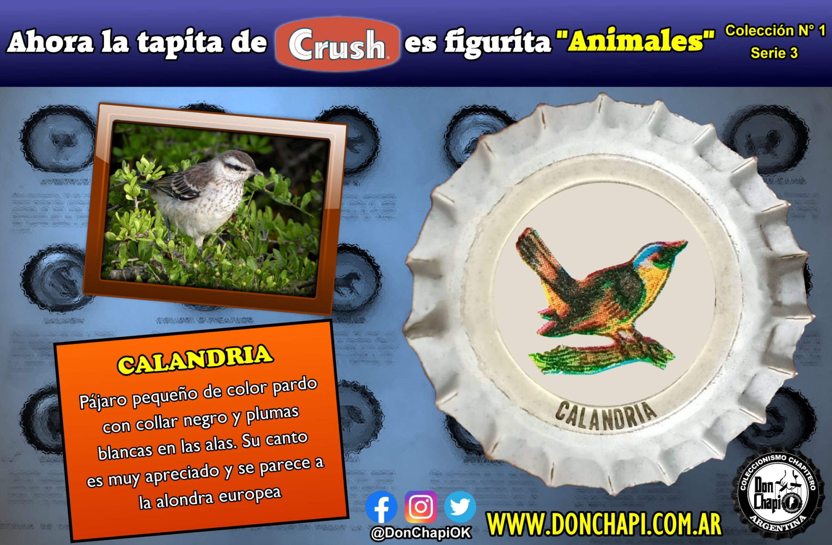 Animales306-CALANDRIA