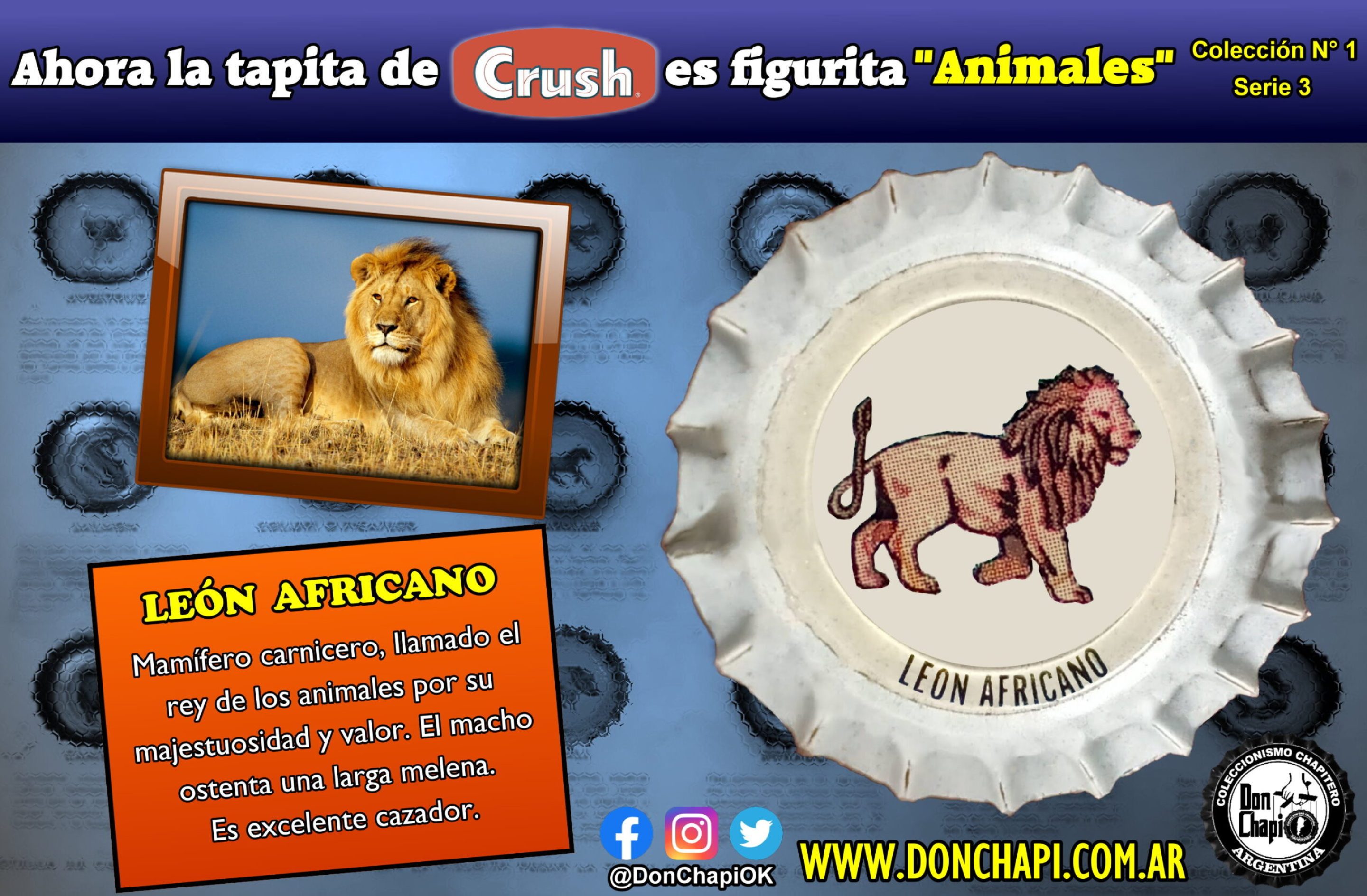 Animales307-LEON