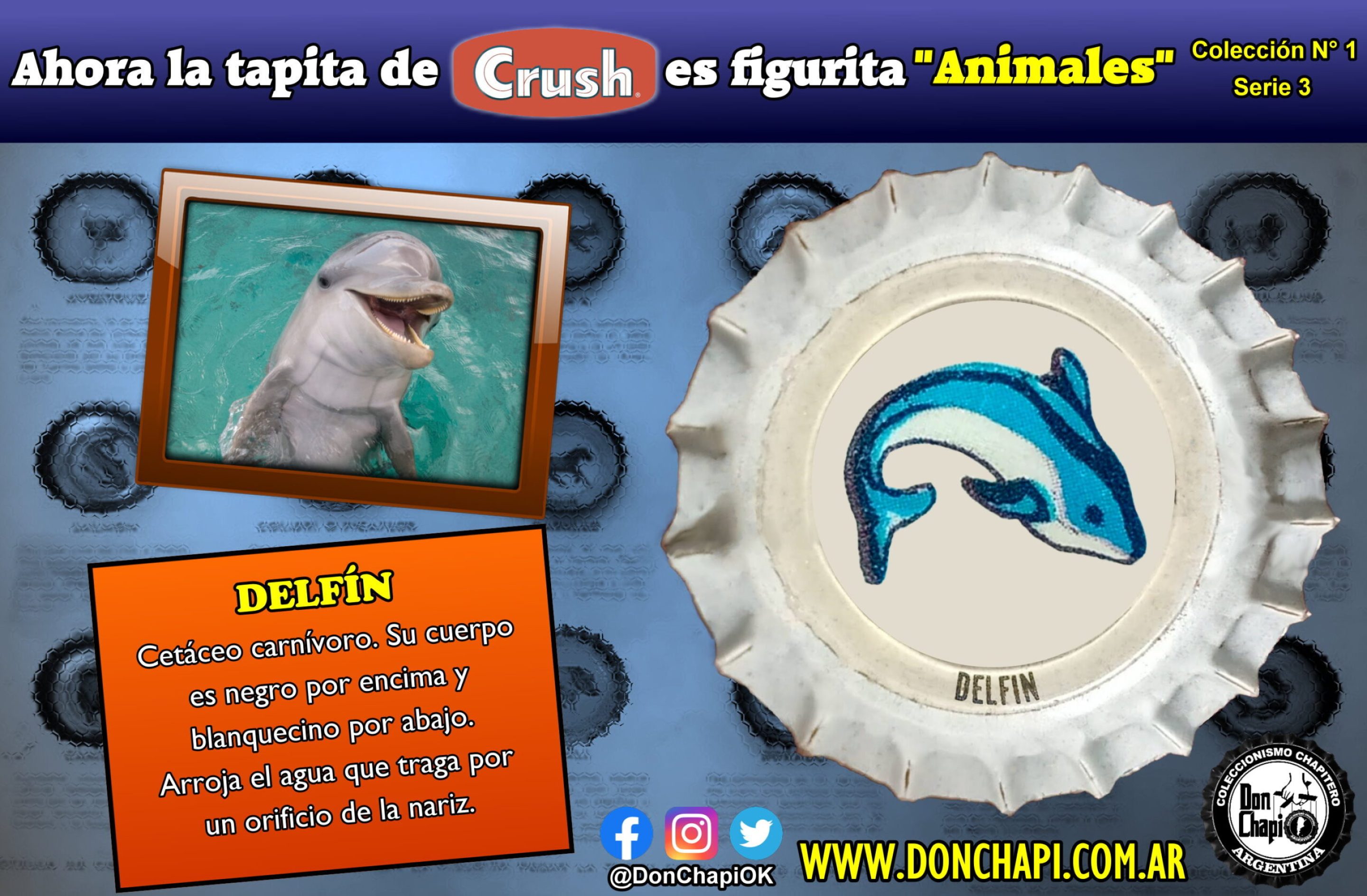 Animales308-DELFIN