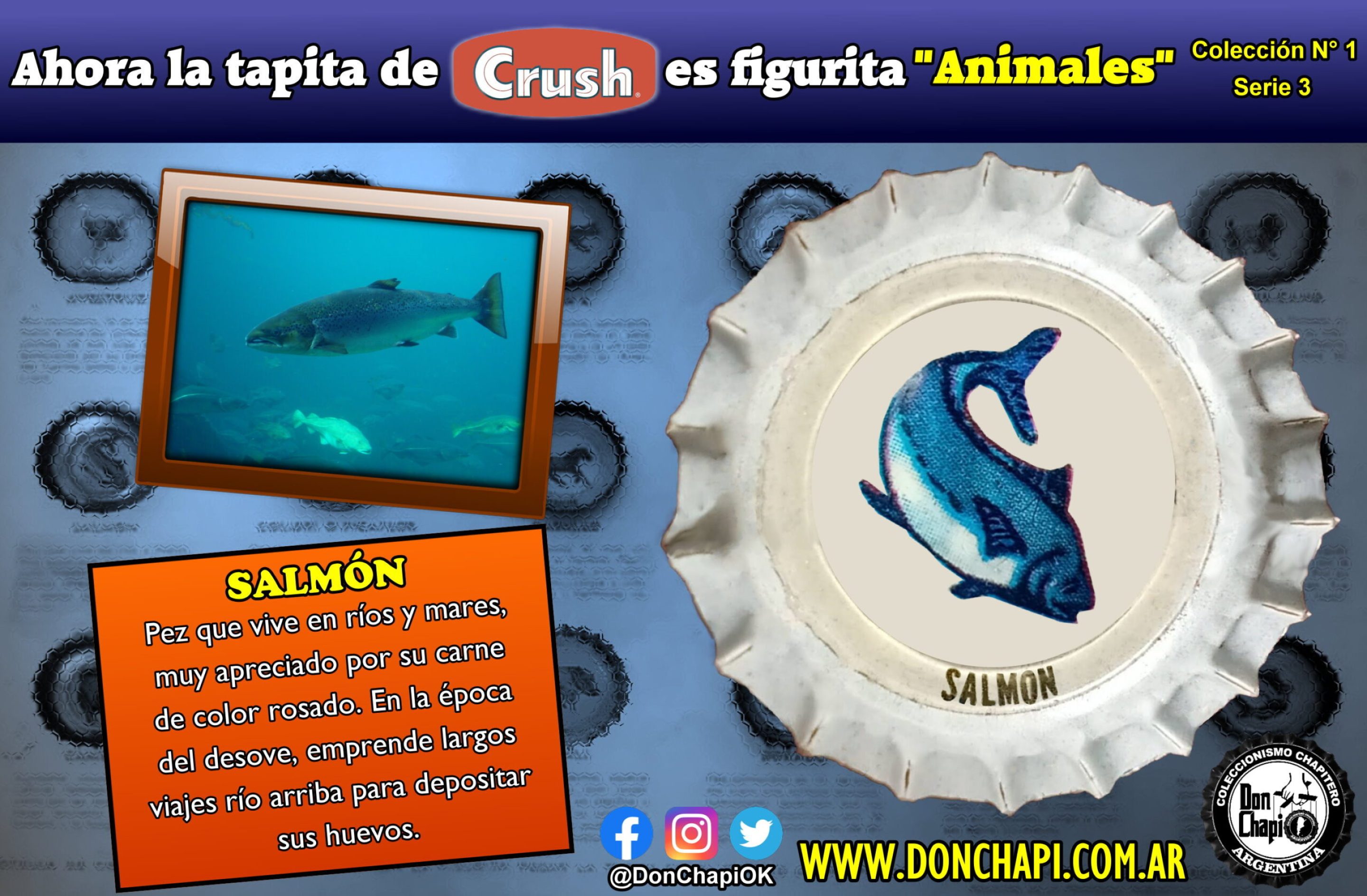 Animales309-SALMON
