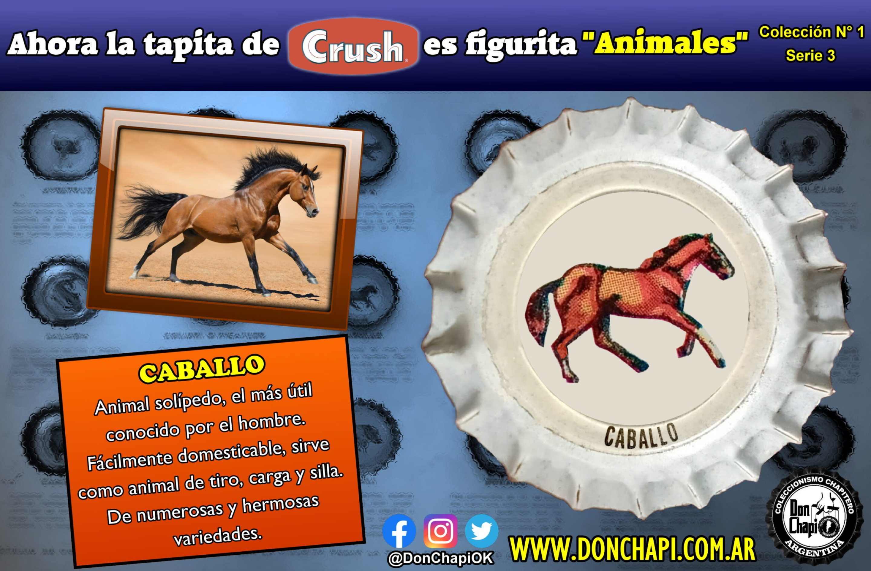 Animales311-CABALLO