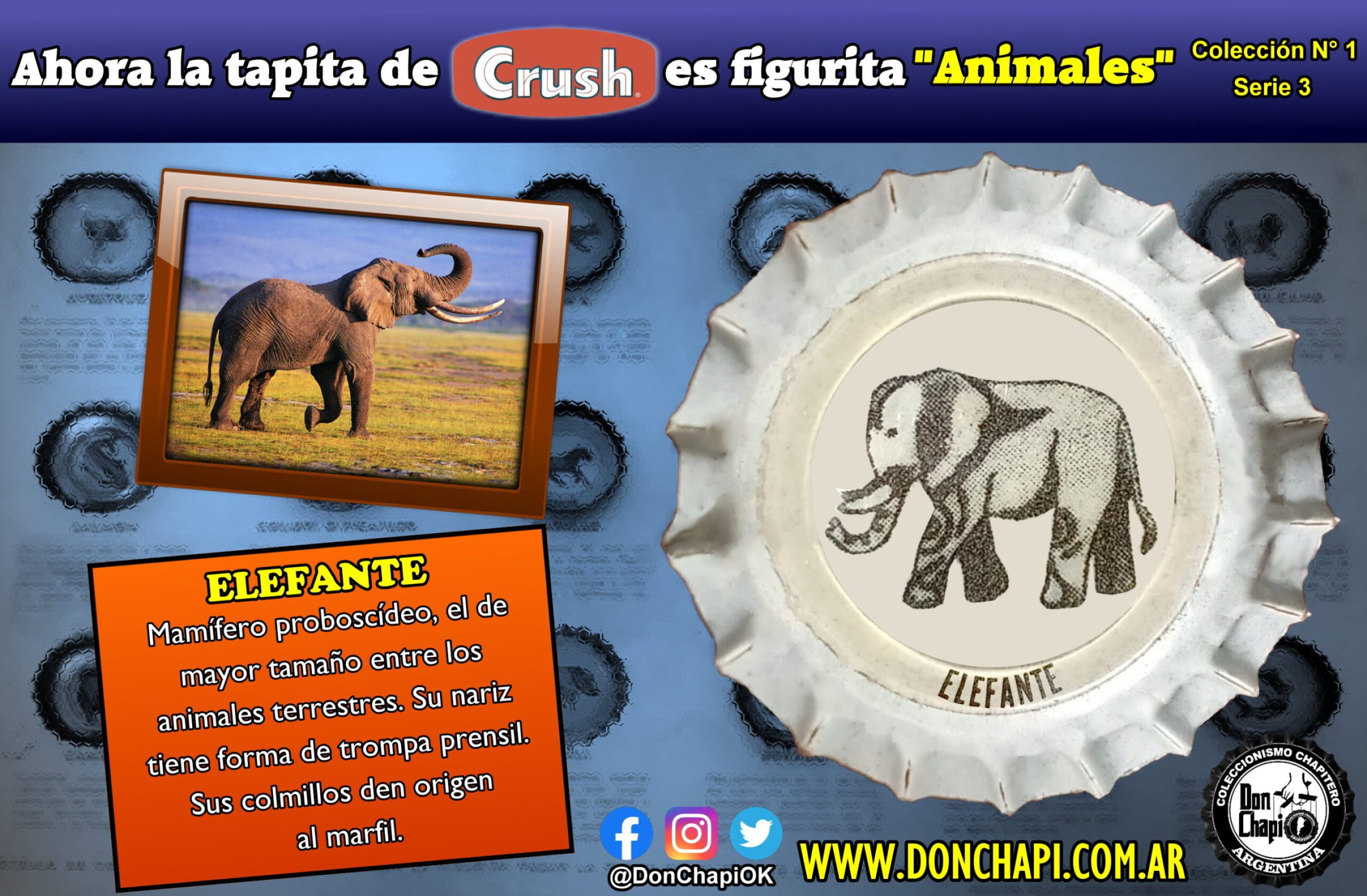 Animales312-ELEFANTE