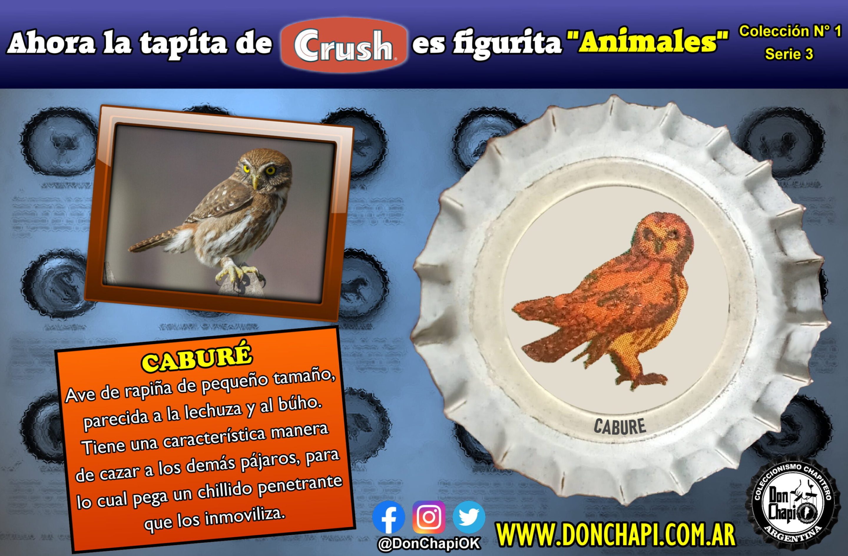 Animales313-CABURE