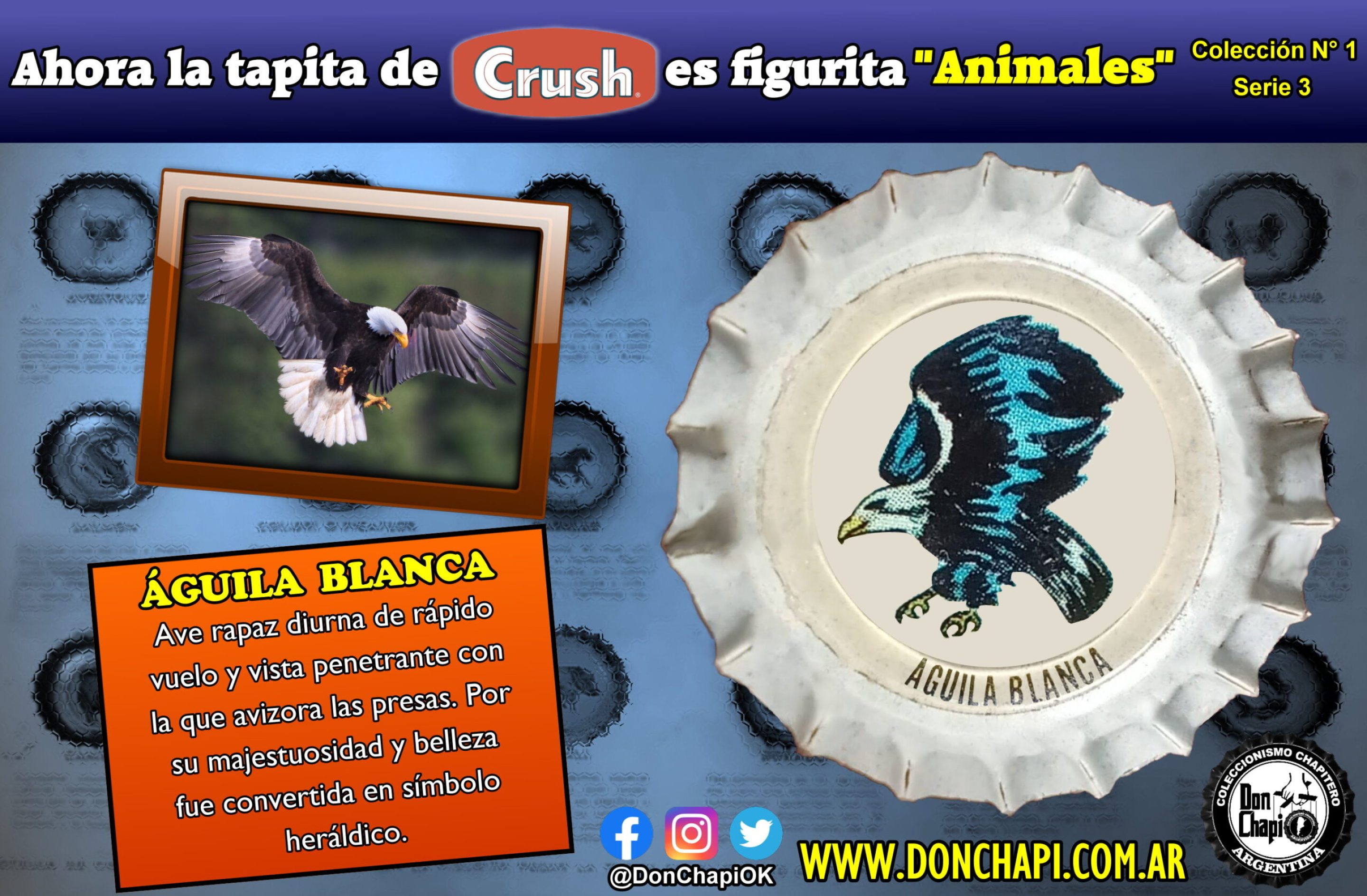 Animales314-AGUILA