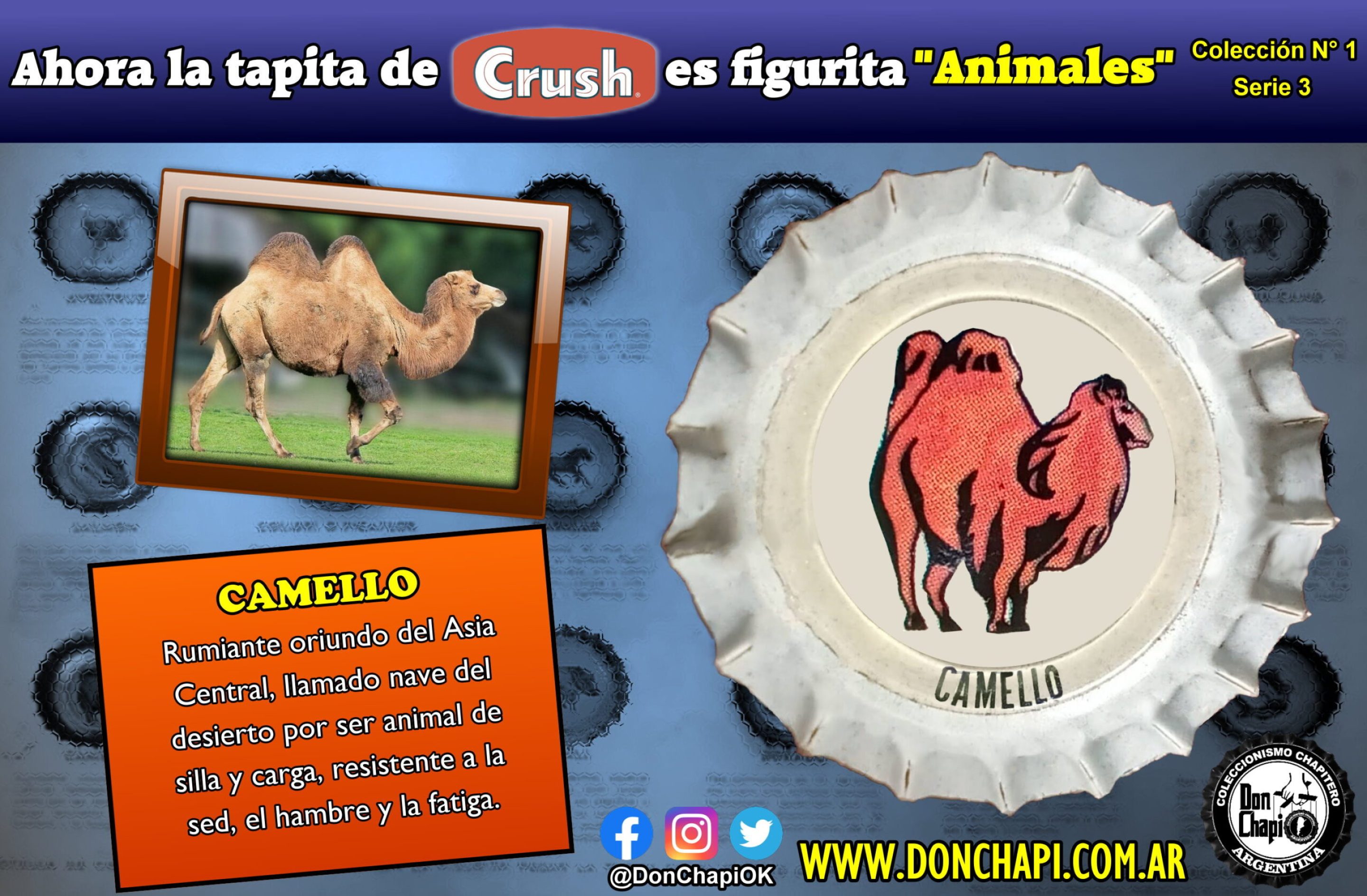 Animales316-CAMELLO