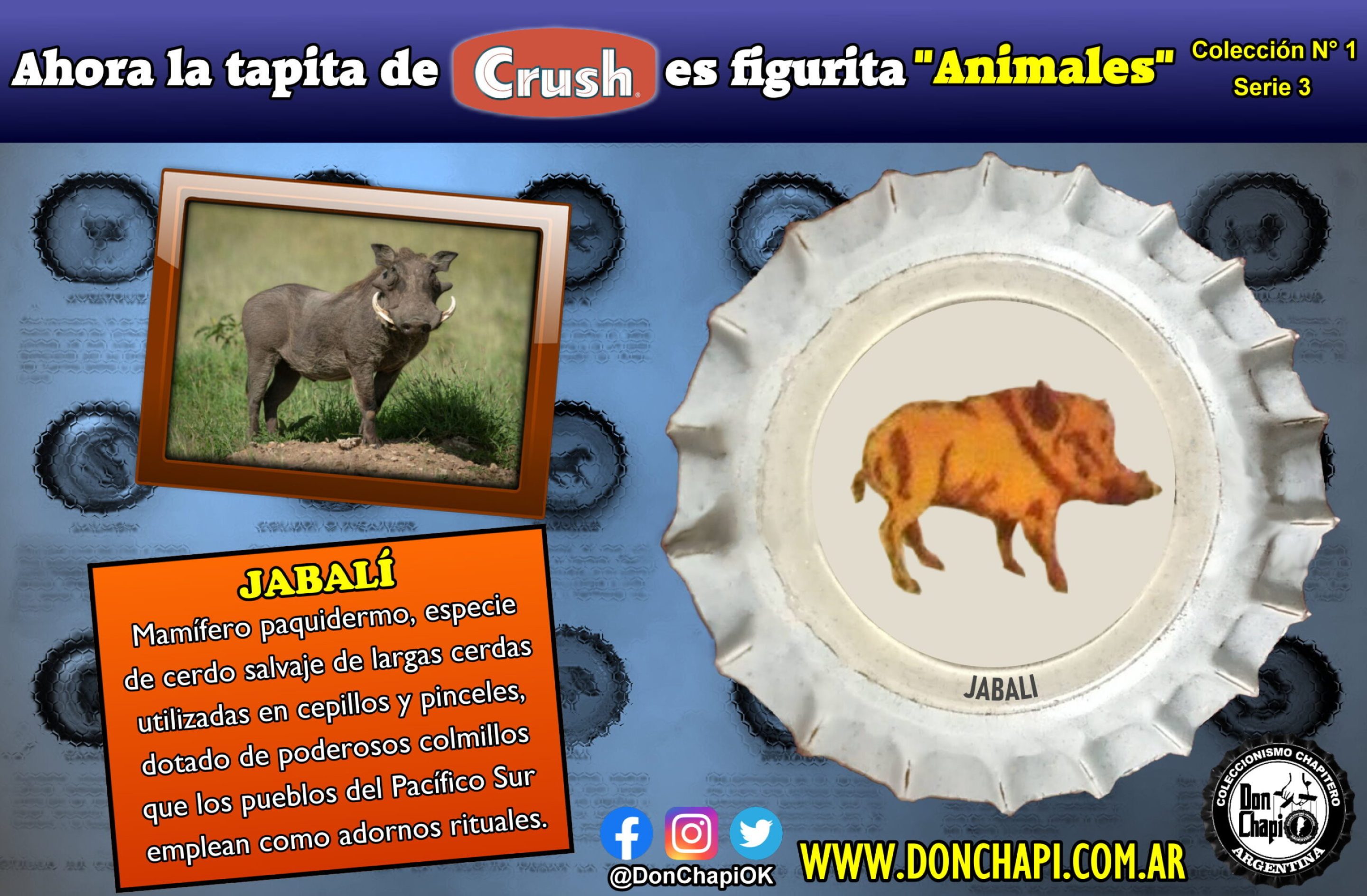 Animales318-JABALI