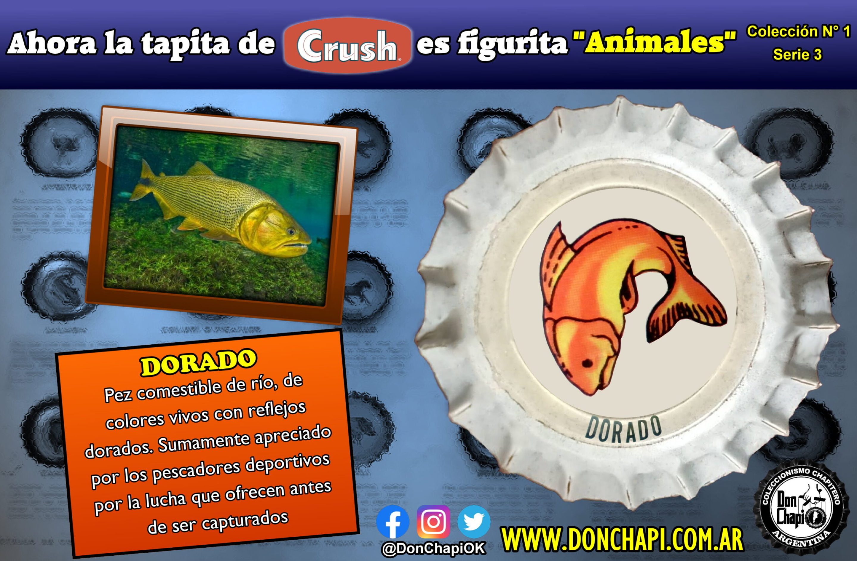 Animales319-DORADO