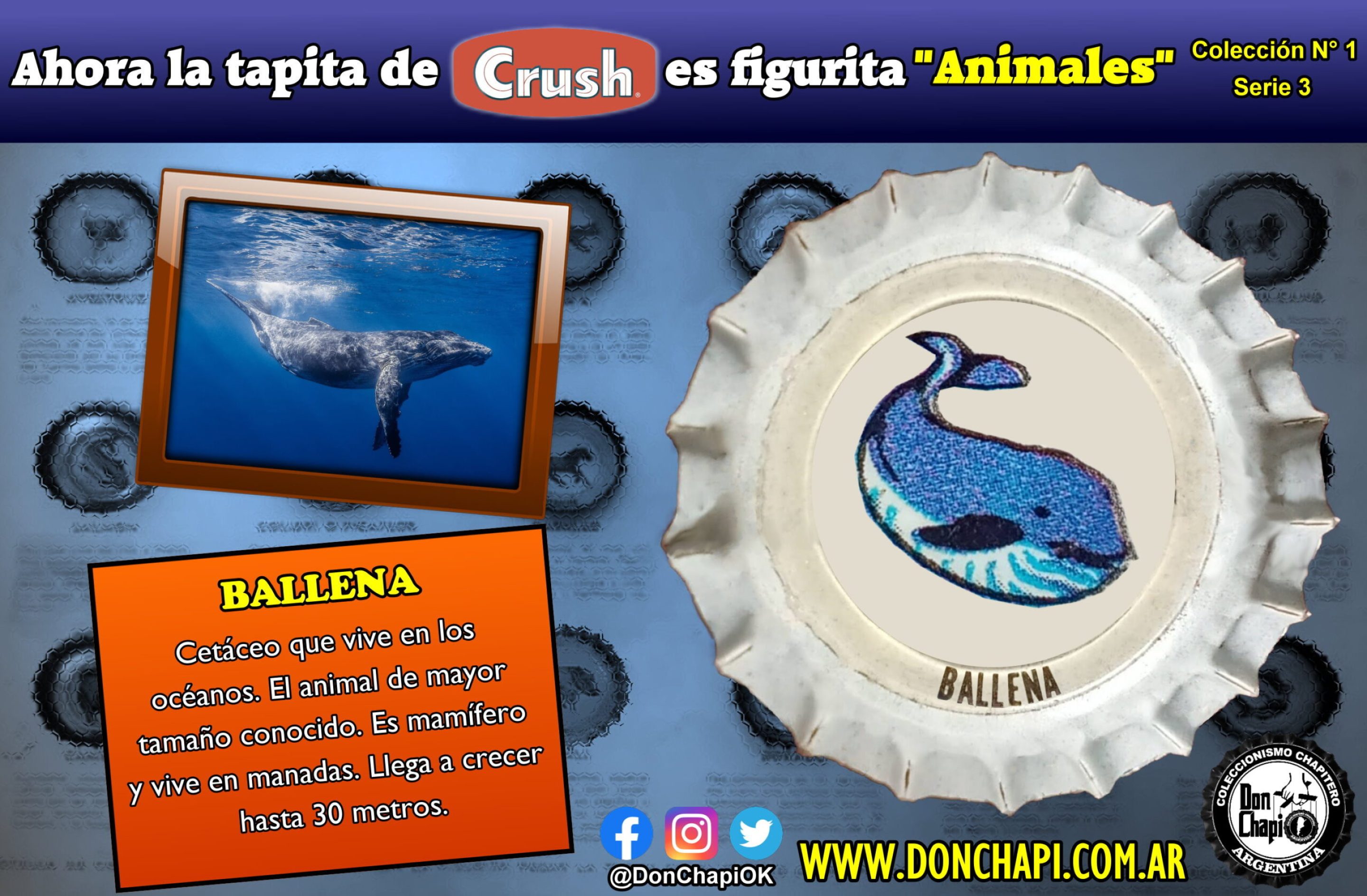 Animales320-BALLENA