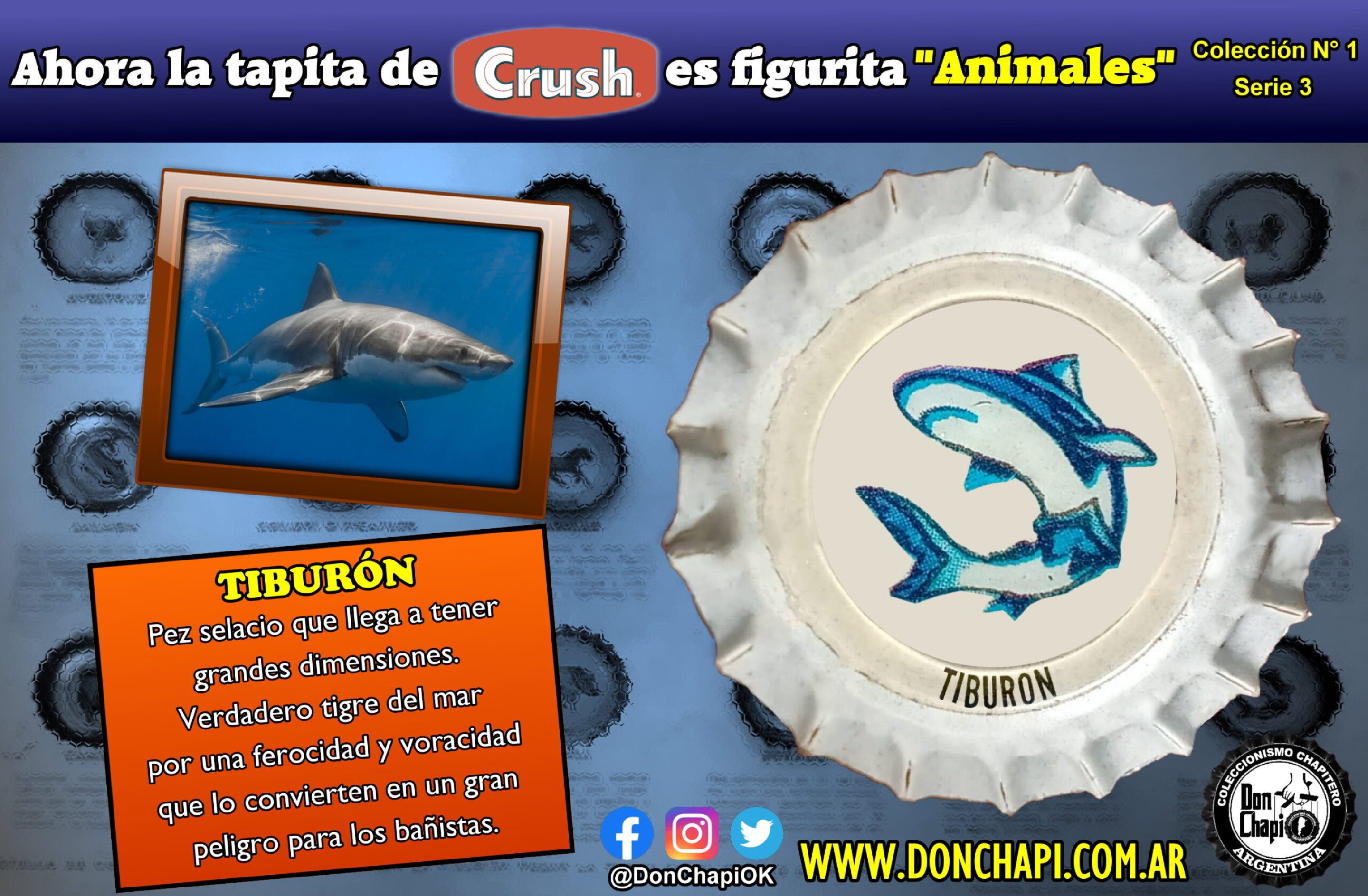 Animales321-TIBURON